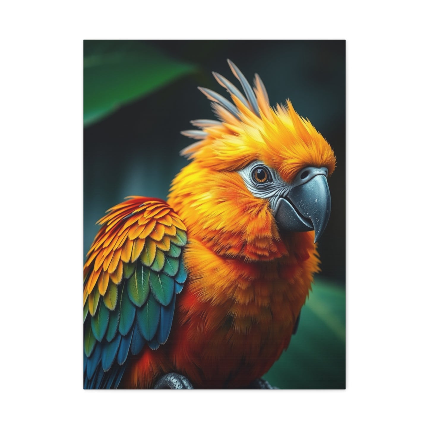 Supreme Tropical Birds Art Collection Wall Art & Canvas Print