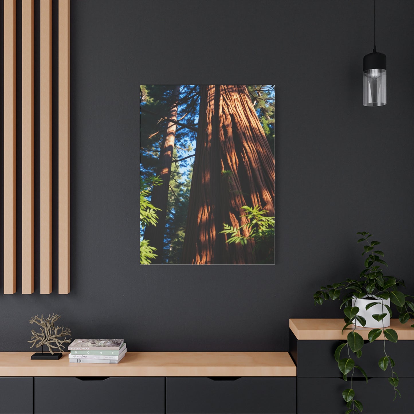Supreme Redwood Tree Art Collection Wall Art & Canvas Print