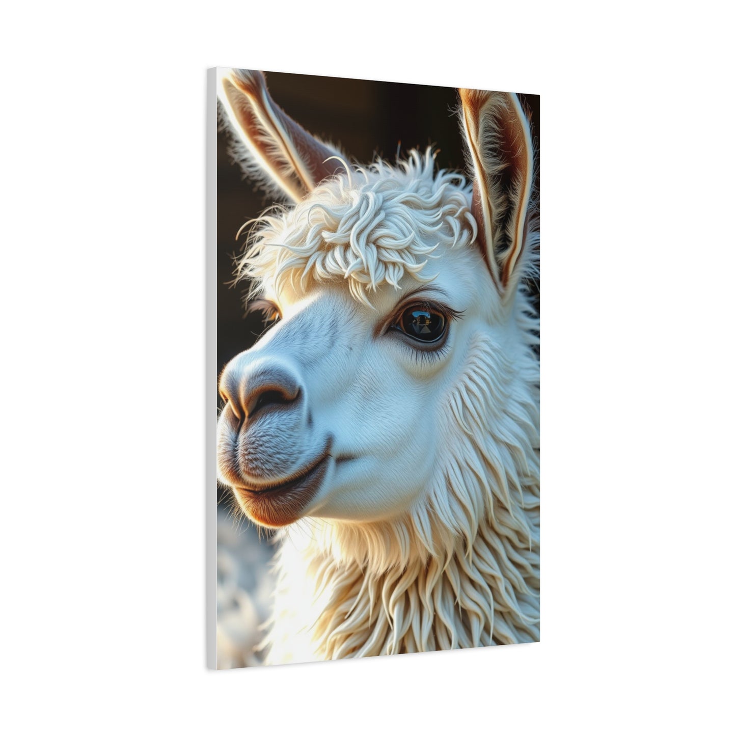 Llama & Alpaca Art Luxury Canvas Wall Art & Canvas Print