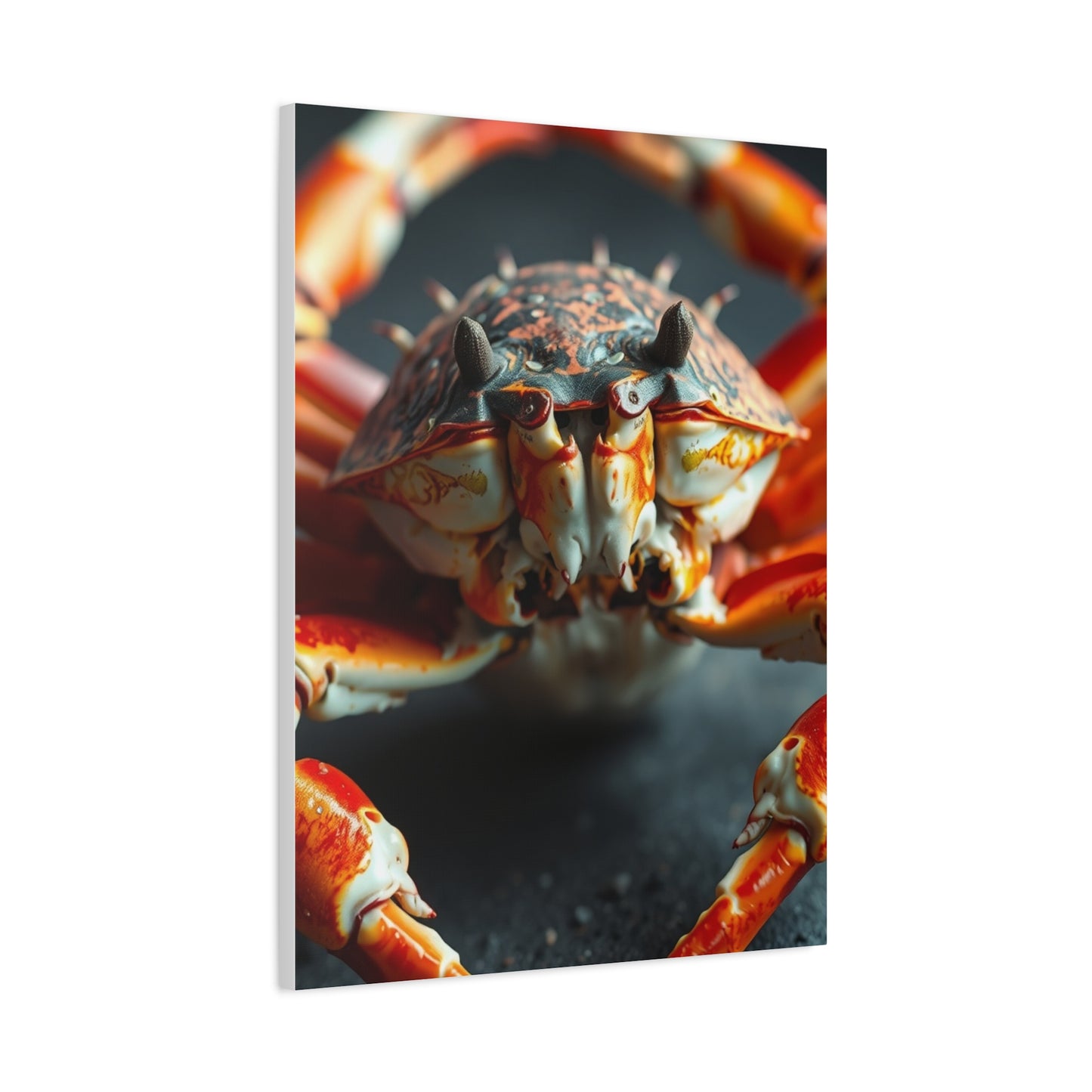 Regal Shell Symphony Art Wall Art & Canvas Print