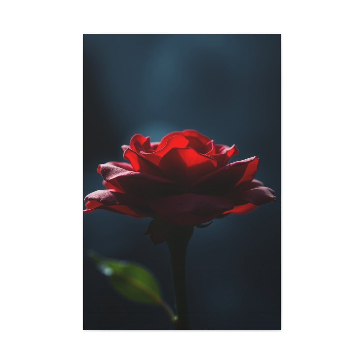 Ruby Infusion Canvas Wall Art & Canvas Print