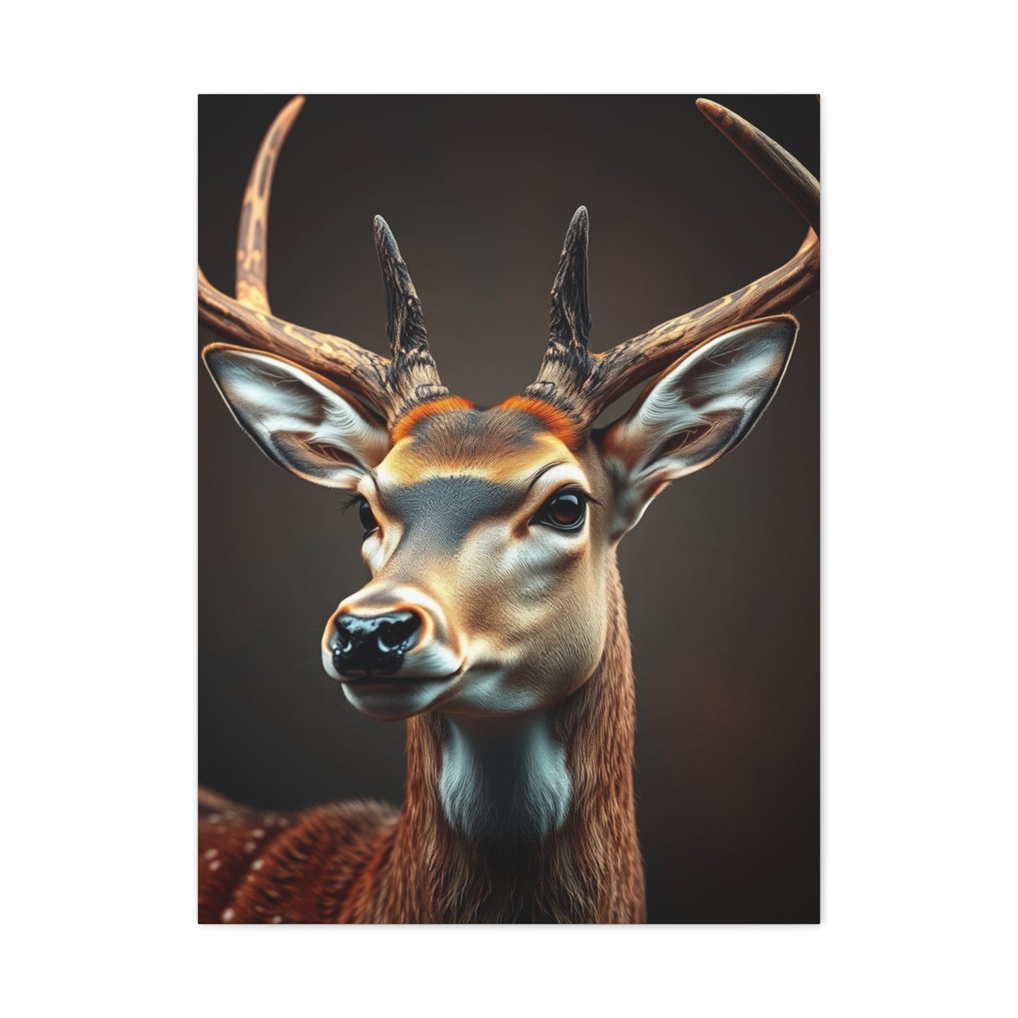Luminous Buck Composition Wall Art & Canvas Print