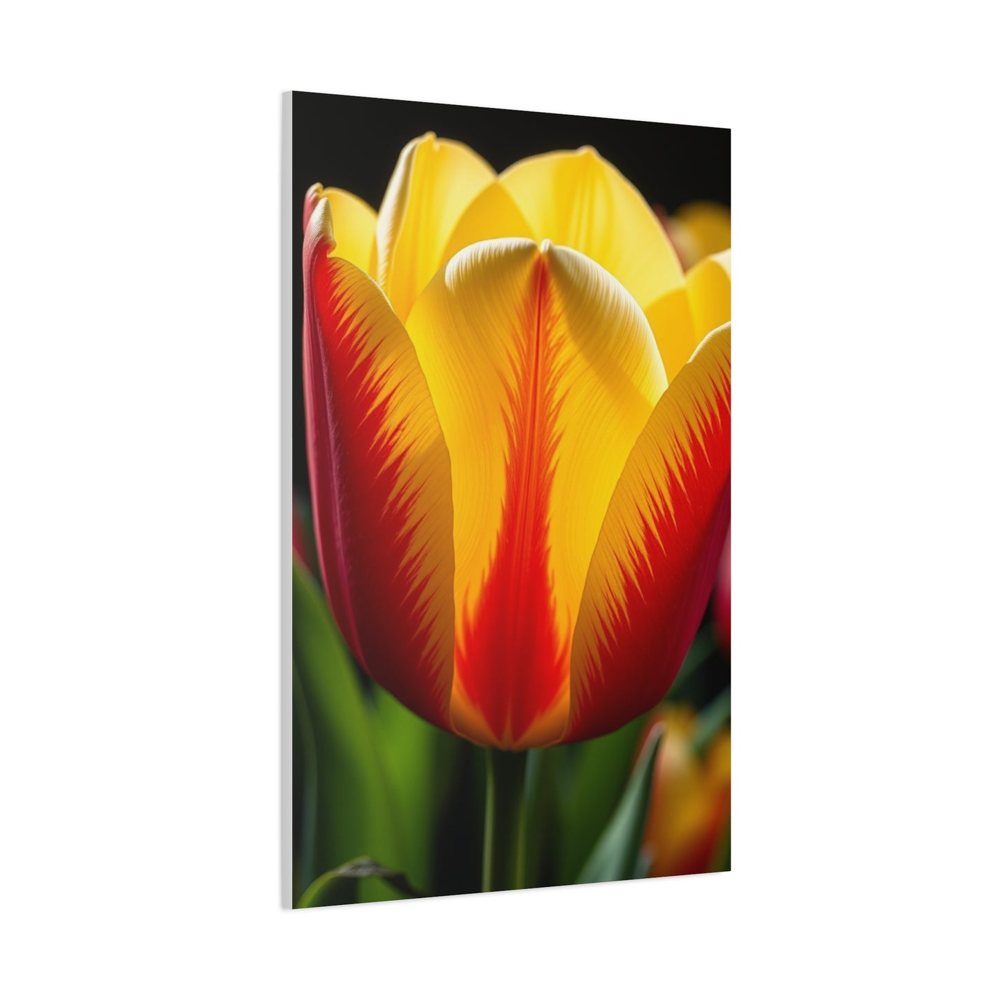 Tulip Flower Art Supreme Gallery Wall Art & Canvas Print