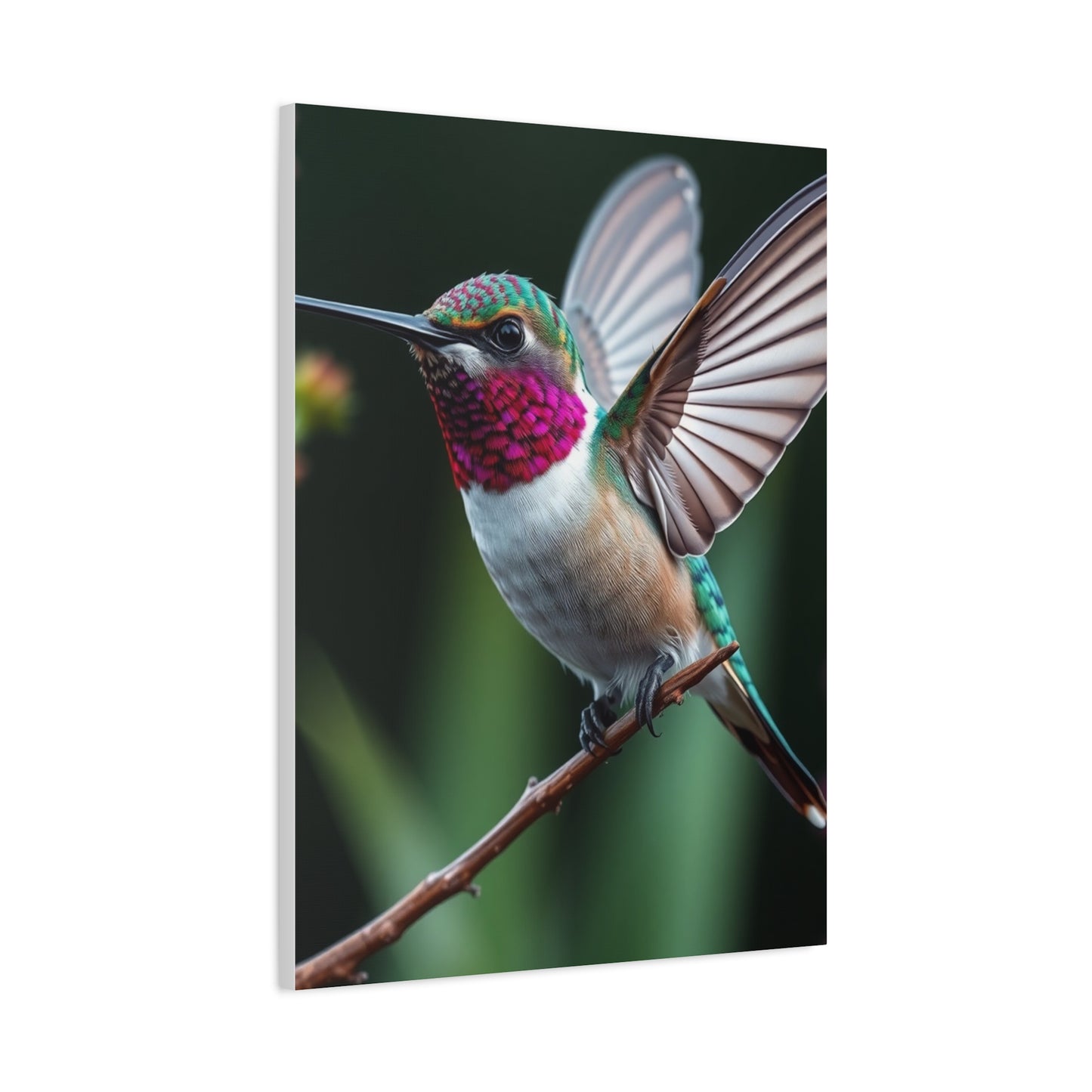 Humming Bird Art Supreme Gallery Wall Art & Canvas Print