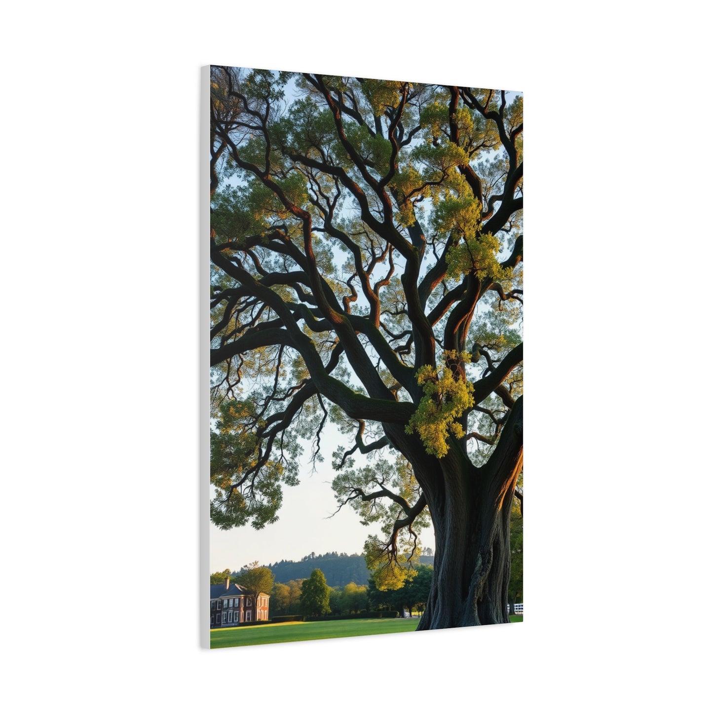 Oak Tree Art Refined Canvas Wall Art & Canvas Print