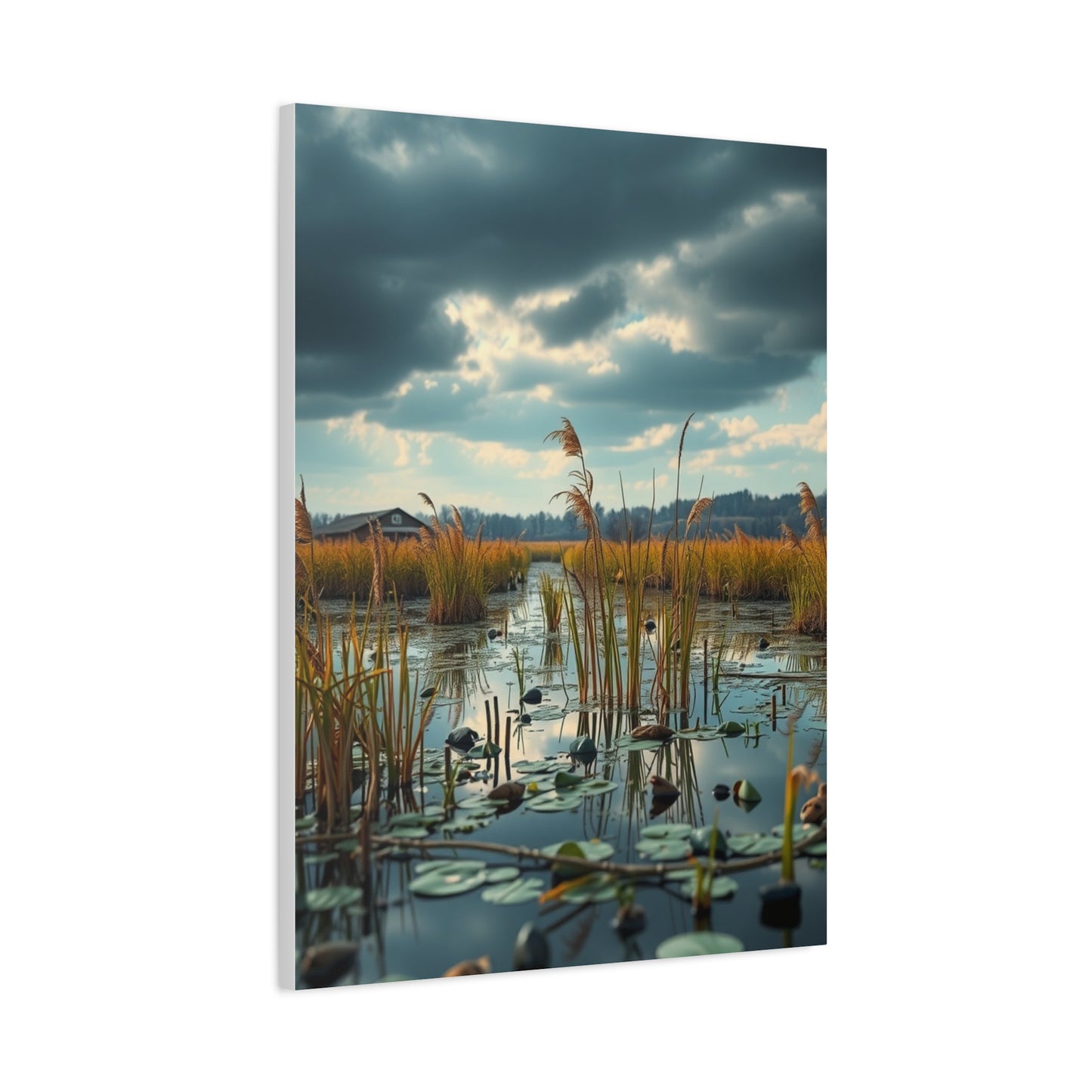 Supreme Marsh & Swamp Art Collection Wall Art & Canvas Print