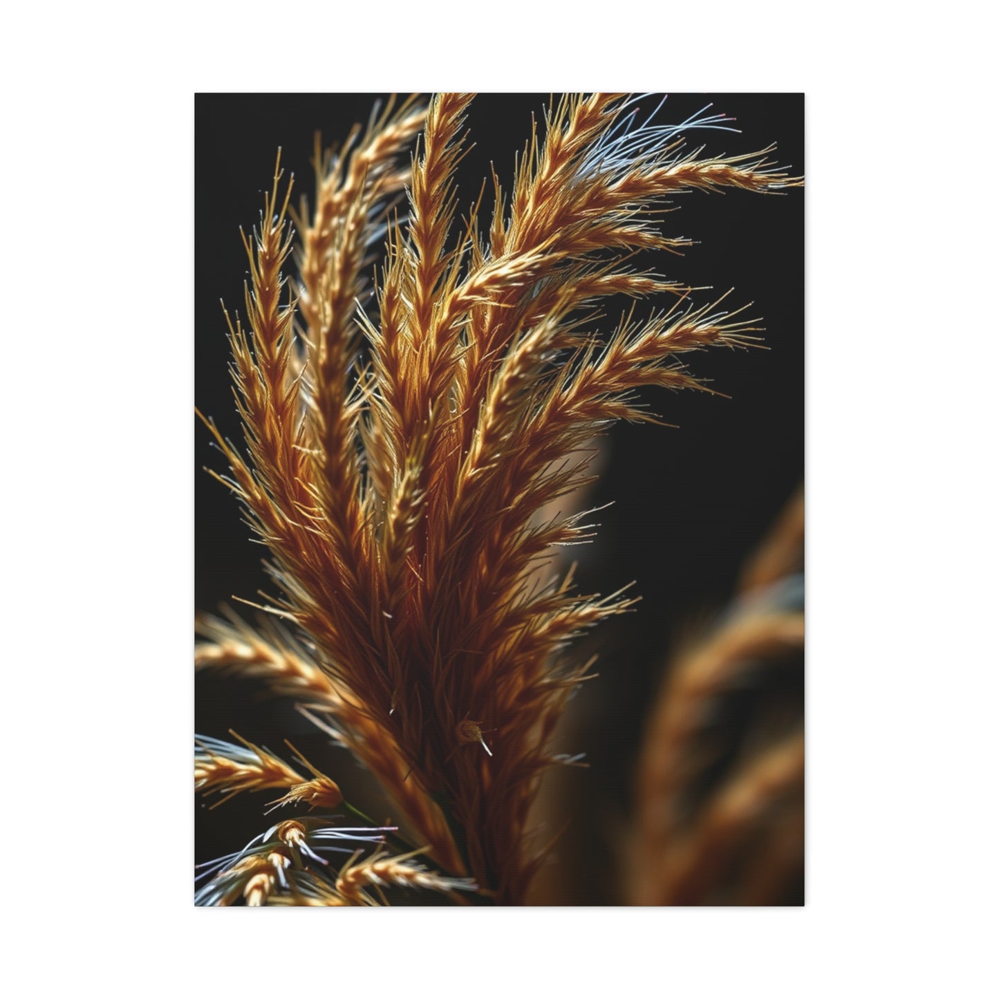 Natures Essence Canvas Wall Art & Canvas Print