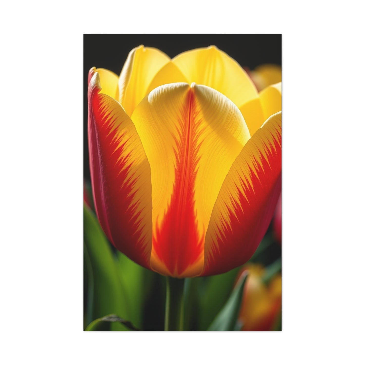 Tulip Flower Art Supreme Gallery Wall Art & Canvas Print