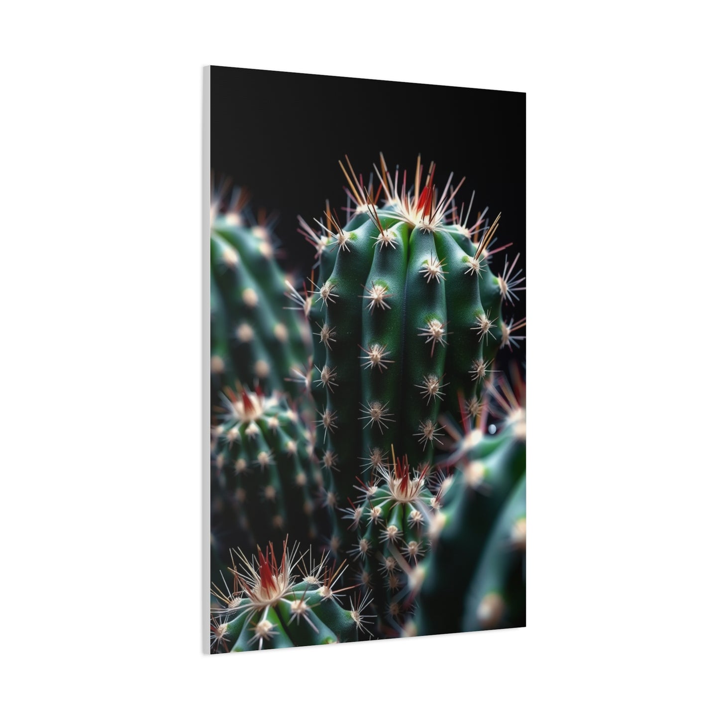 Verdant Desert Dreams Wall Art & Canvas Print