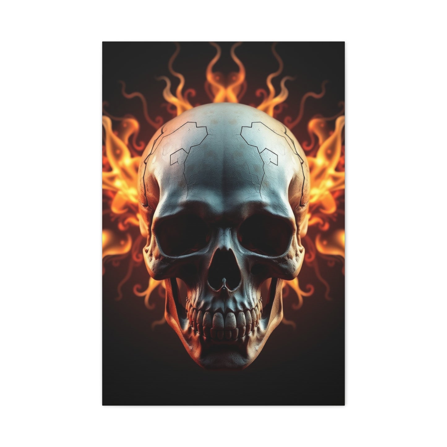 Exquisite Crania Display Wall Art & Canvas Print