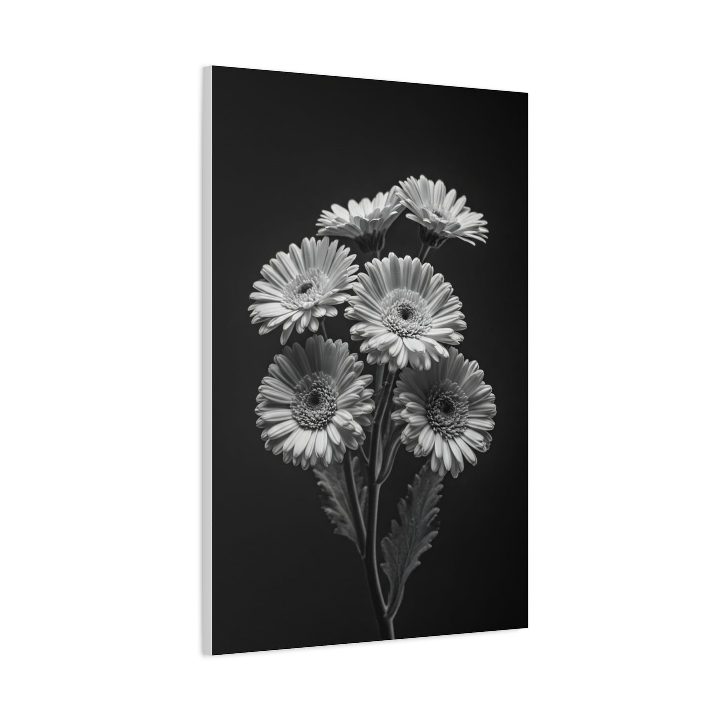 Clustered Daisy Bouquet Wall Art & Canvas Prints