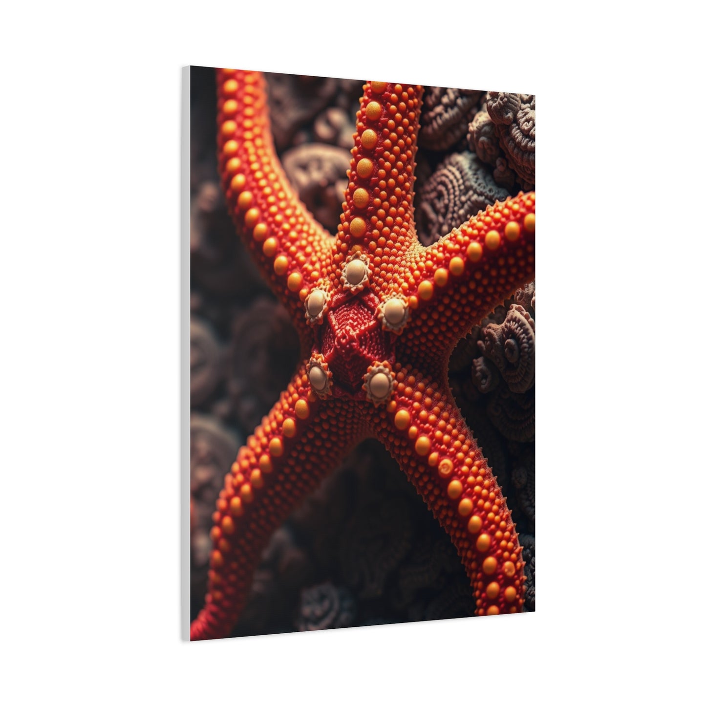 Vision Starfish Art Art Wall Art & Canvas Print