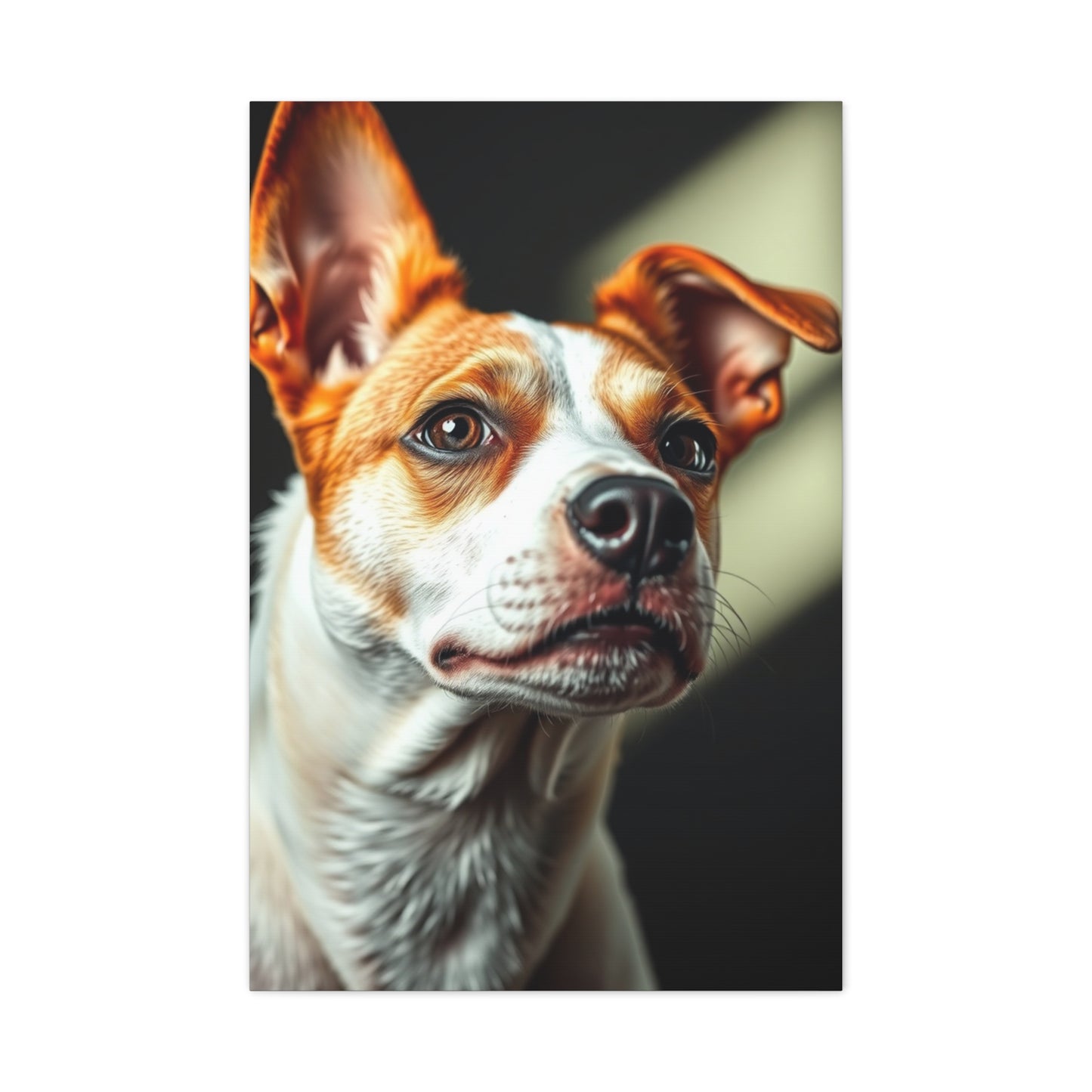 Supreme Jack Russell Terrier Art Collection Wall Art & Canvas Print