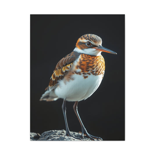 Sandpiper Art Refined Canvas Wall Art & Canvas Print