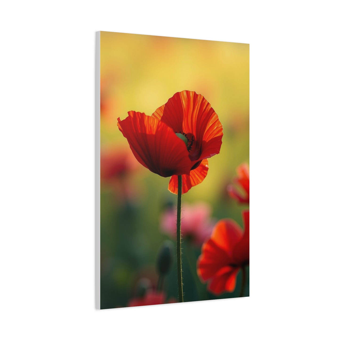 Masterpiece Poppy Flower Art Vision Wall Art & Canvas Print