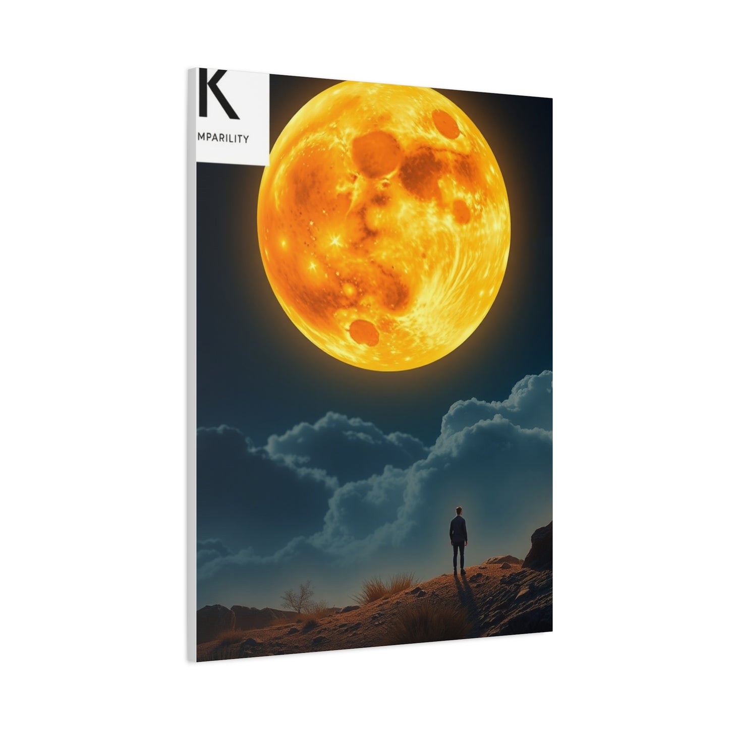 Moonlit Harmony Canvas Wall Art & Canvas Print