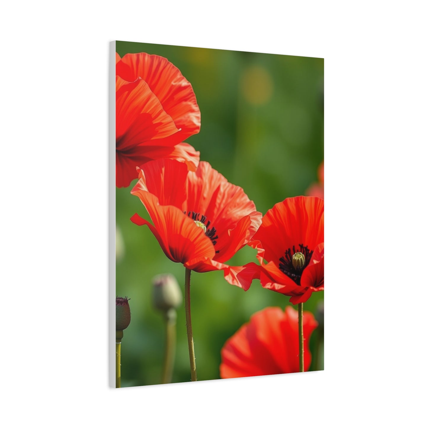 Poppy Flower Art Supreme Gallery Wall Art & Canvas Print