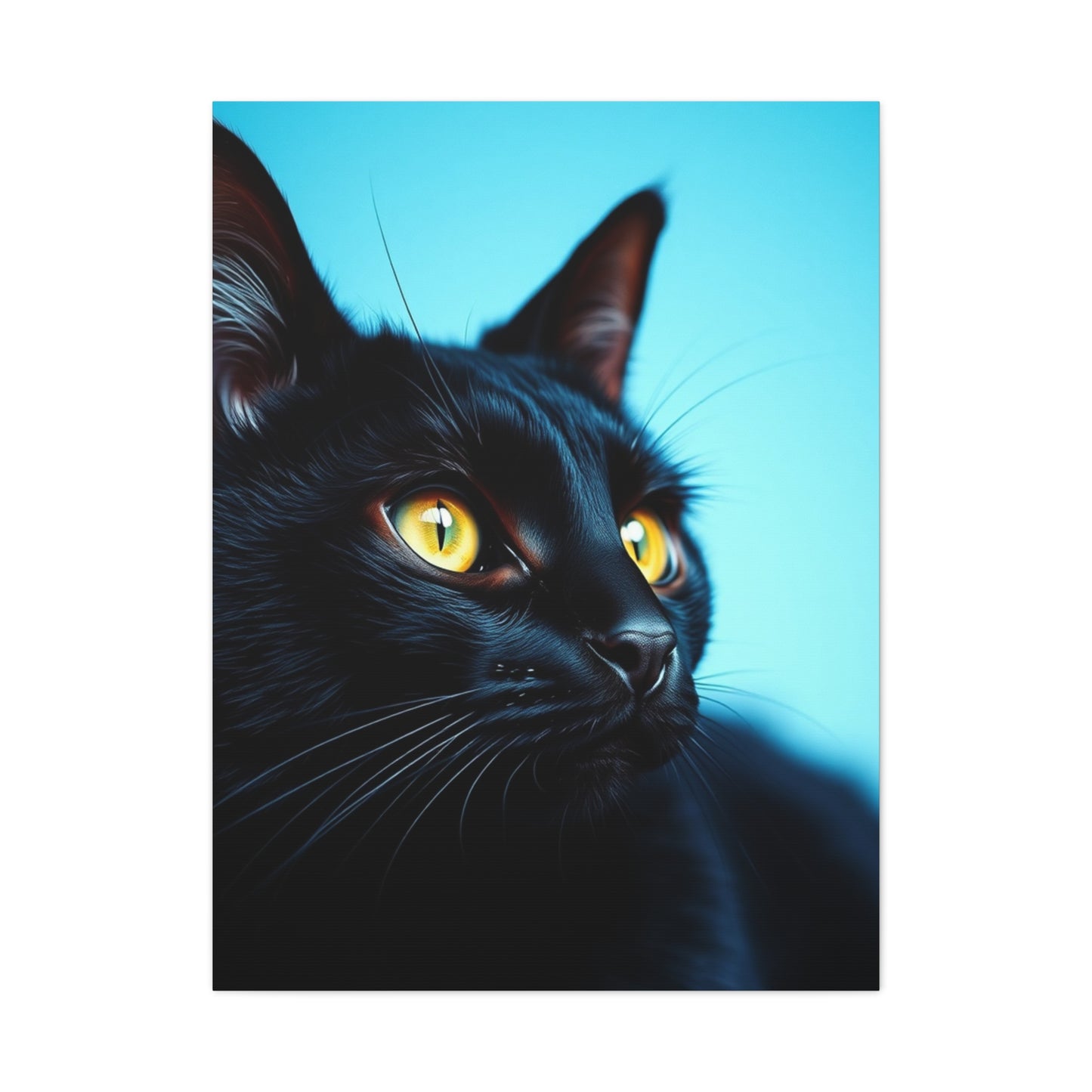 Supreme Black Cat Art Collection Wall Art & Canvas Print