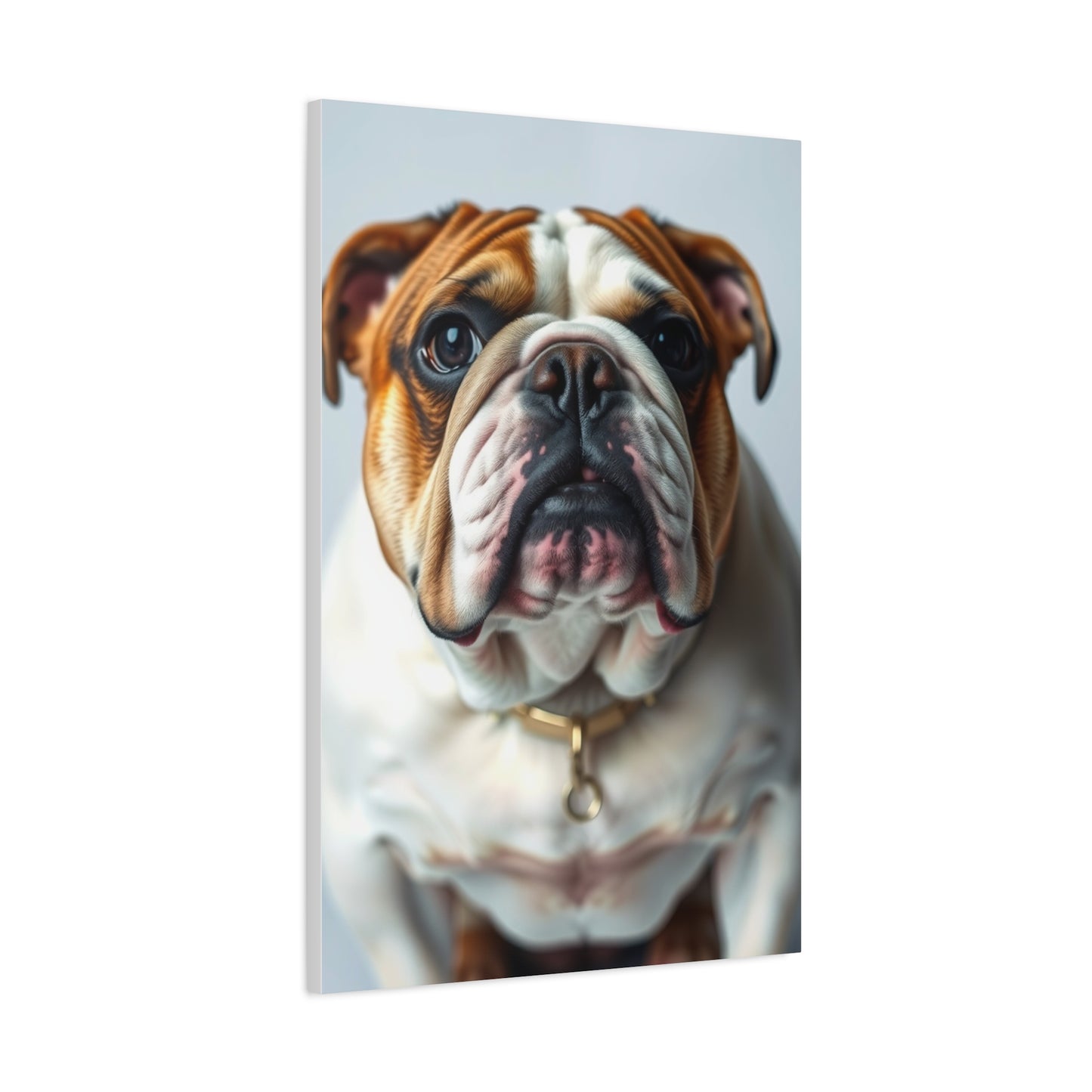 Supreme Bulldog Art Collection Wall Art & Canvas Print