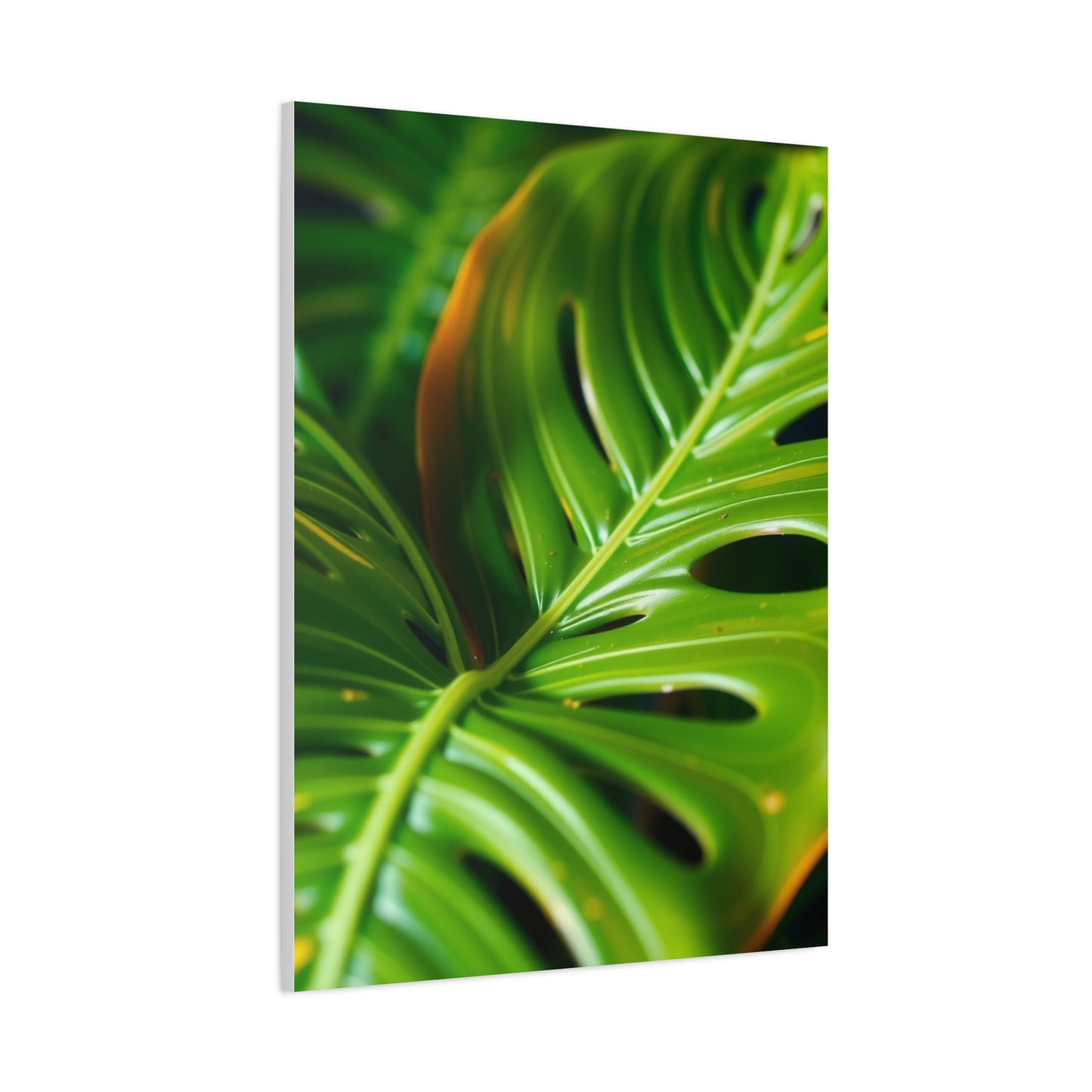 Supreme Monstera Plant Art Collection Wall Art & Canvas Print