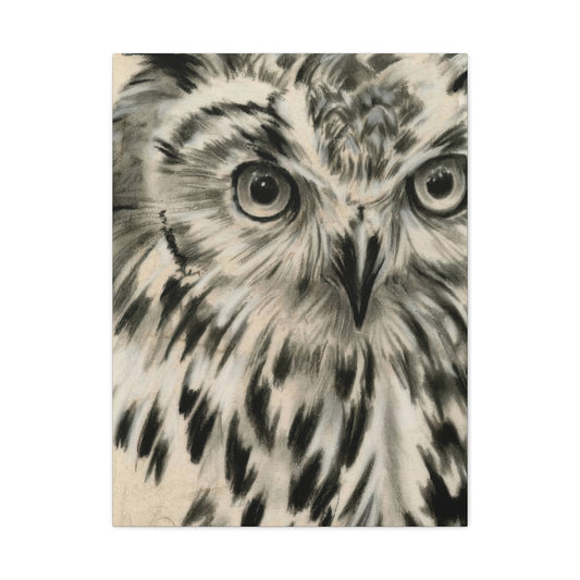 Jennifer Paxton Parker Charcoal Owl Wall Art & Canvas Prints