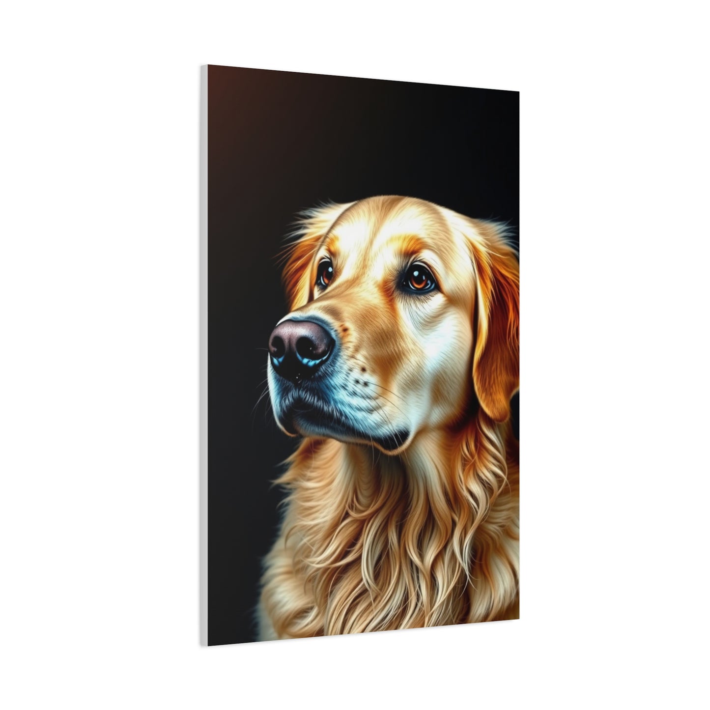 Supreme Golden Retriever Art Collection Wall Art & Canvas Print