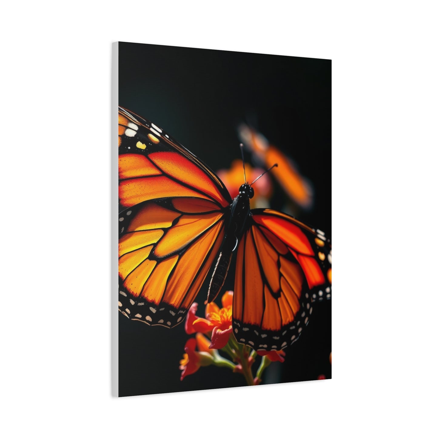 Elite Monarch Butterflies Art Vision Wall Art & Canvas Print