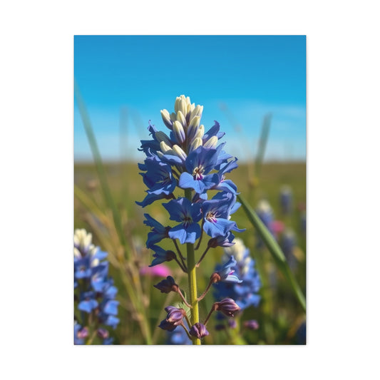 Bluebonnet Flower Art Supreme Gallery Wall Art & Canvas Print