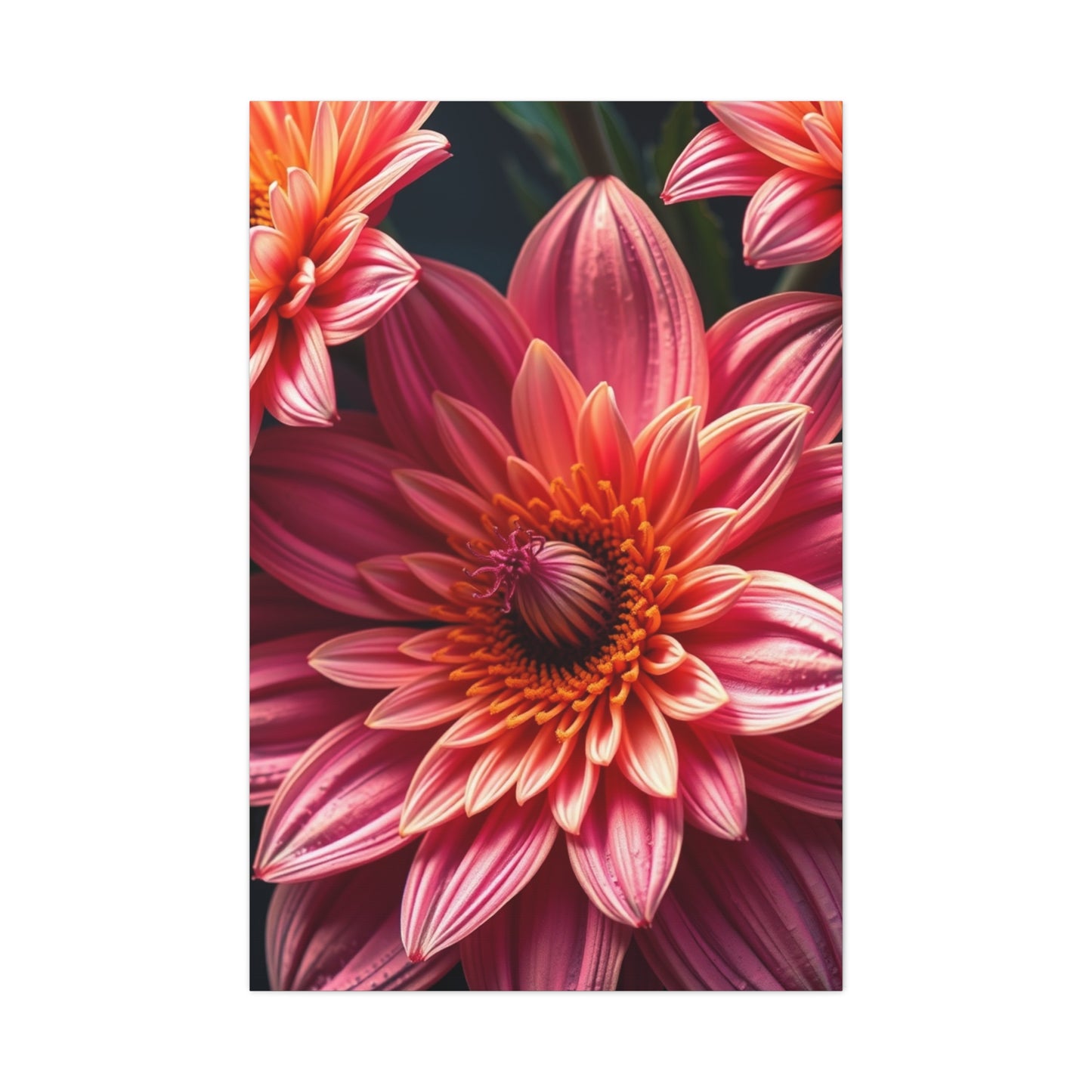 Floral Reverie Collection