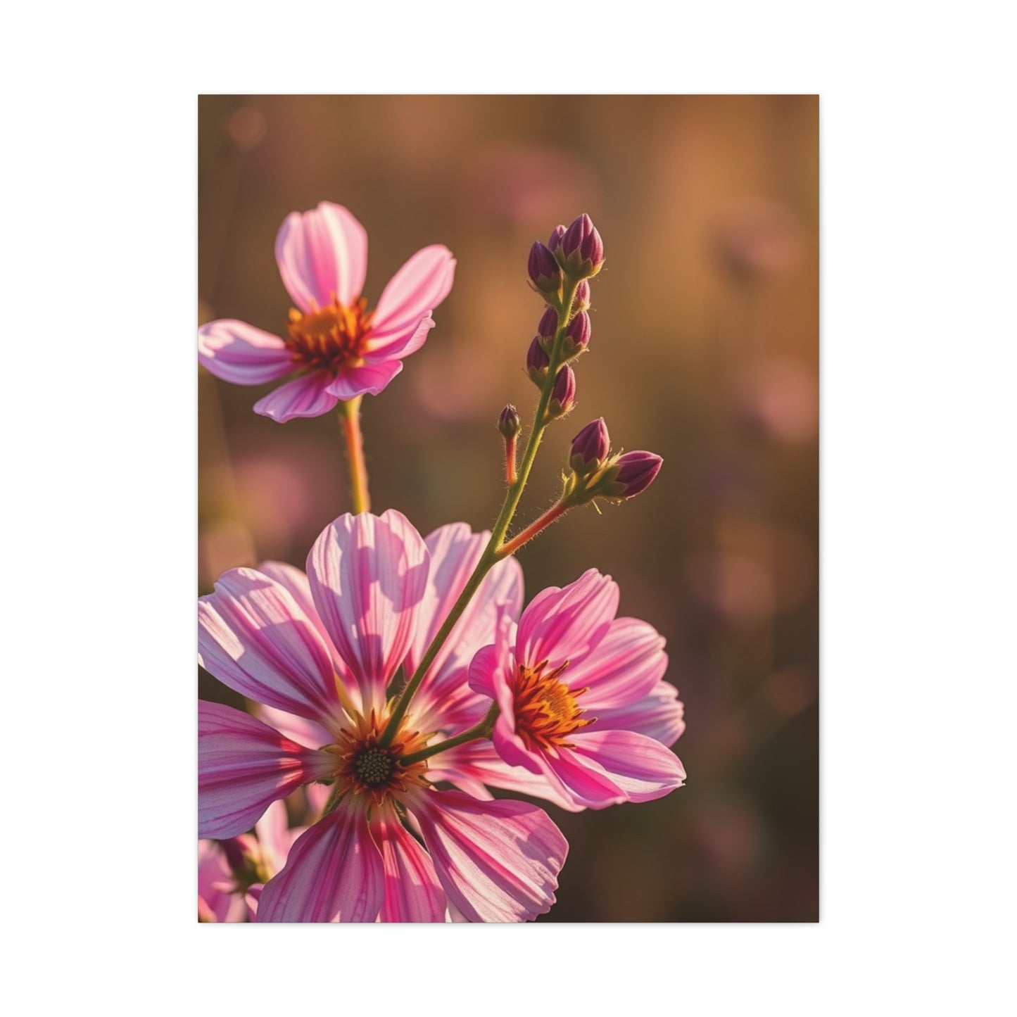Wildflowers Art Supreme Gallery Wall Art & Canvas Print