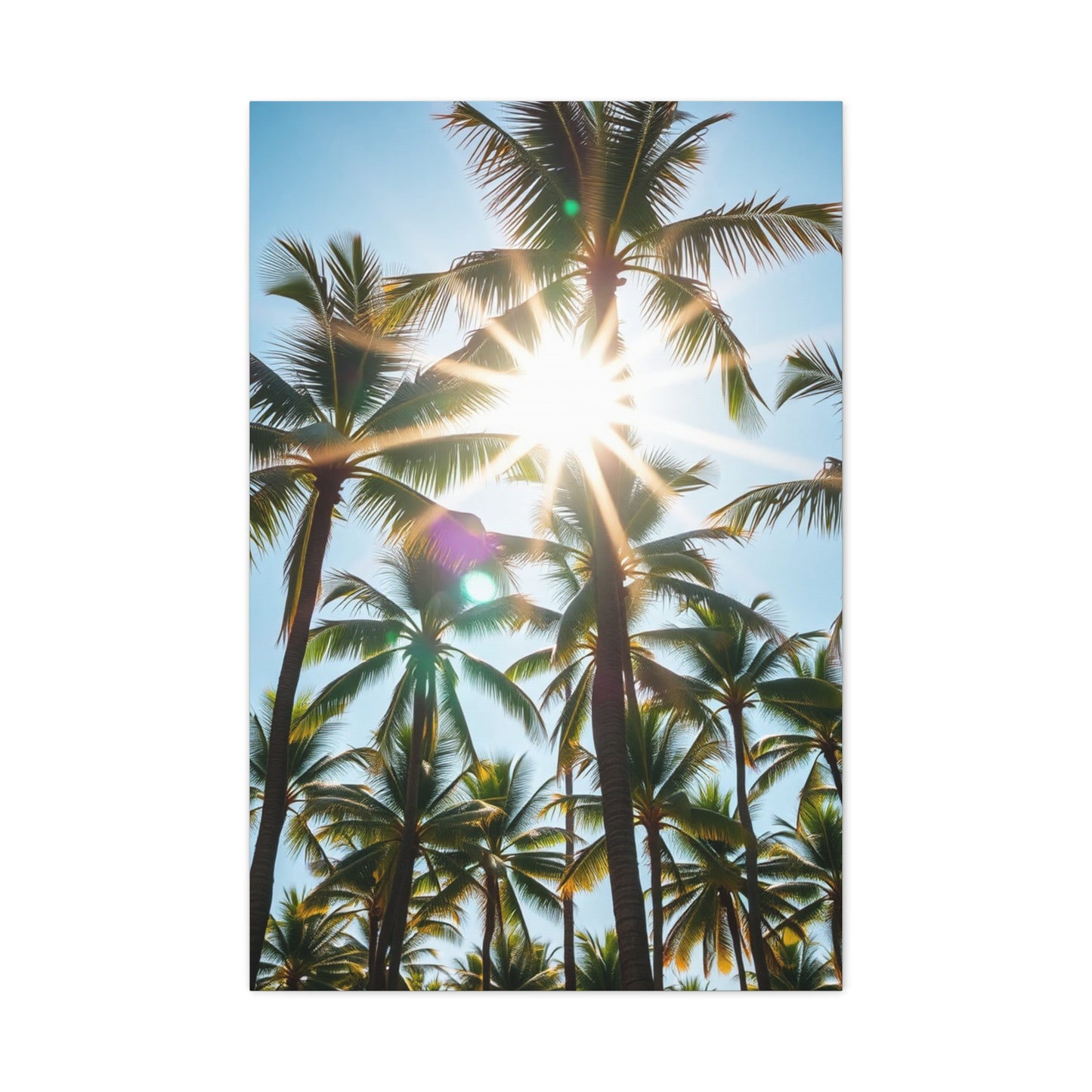 Exquisite Palm Panorama Wall Art & Canvas Print