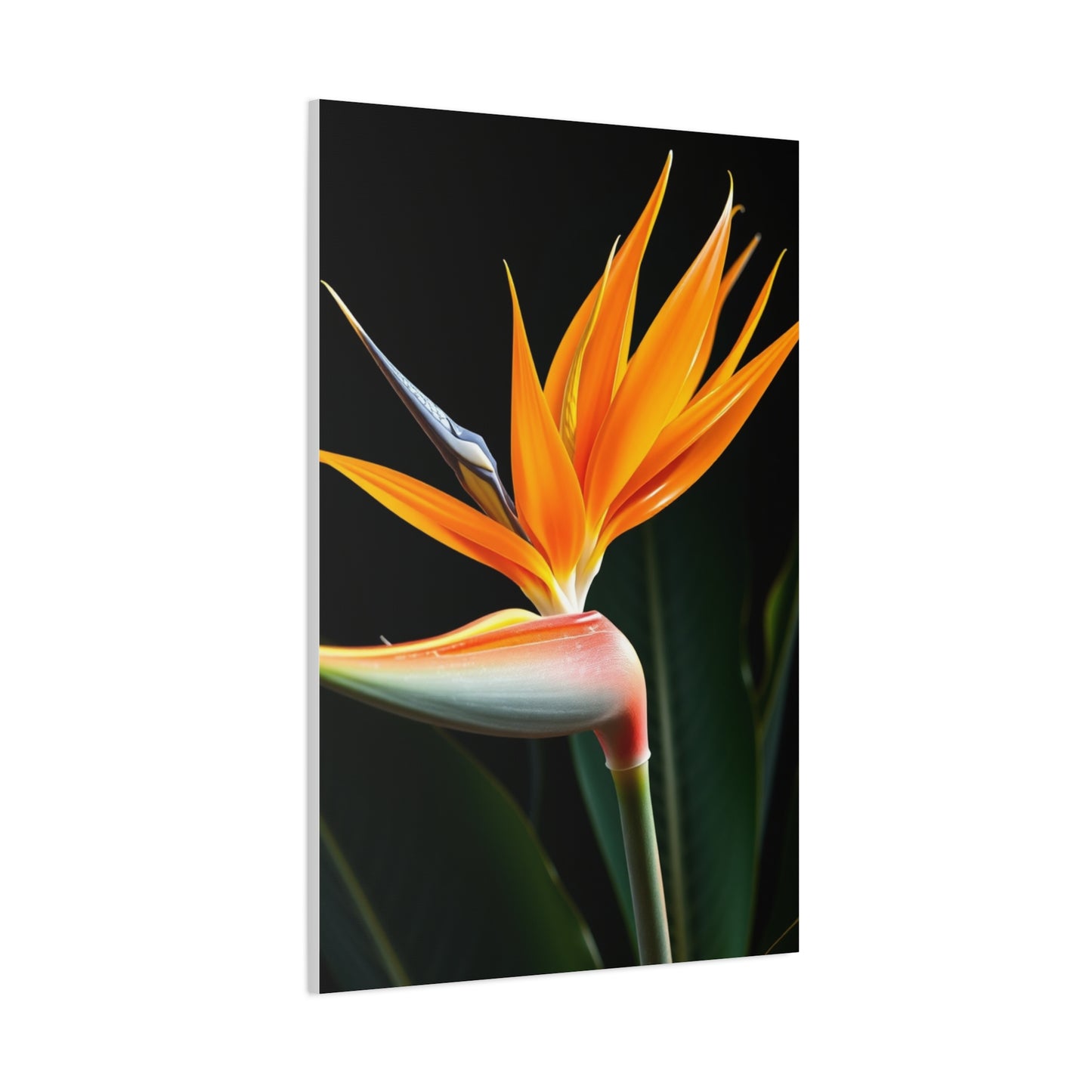 Vision Bird of Paradise Plant Art Art Wall Art & Canvas Print