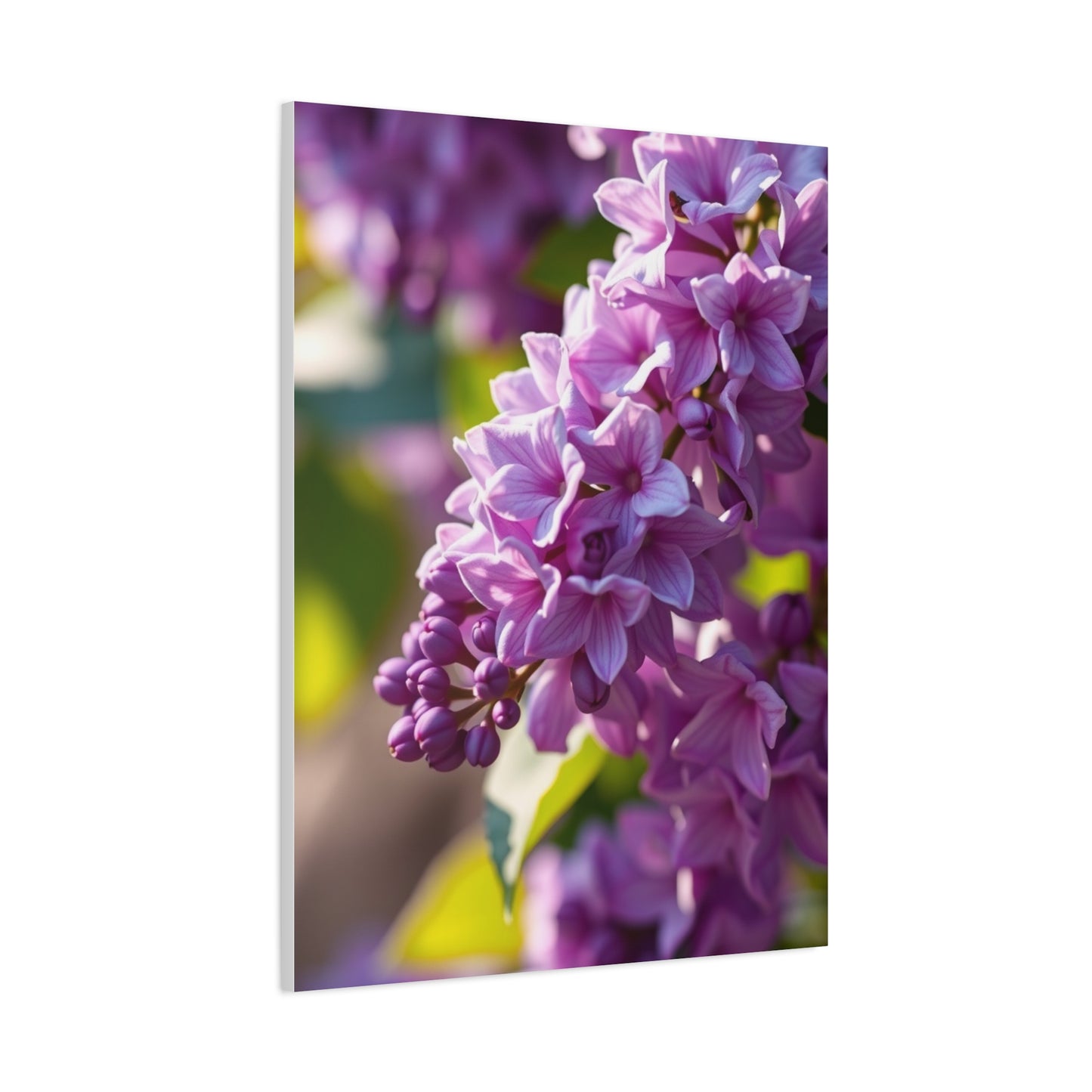 Lilac Flower Art Supreme Gallery Wall Art & Canvas Print