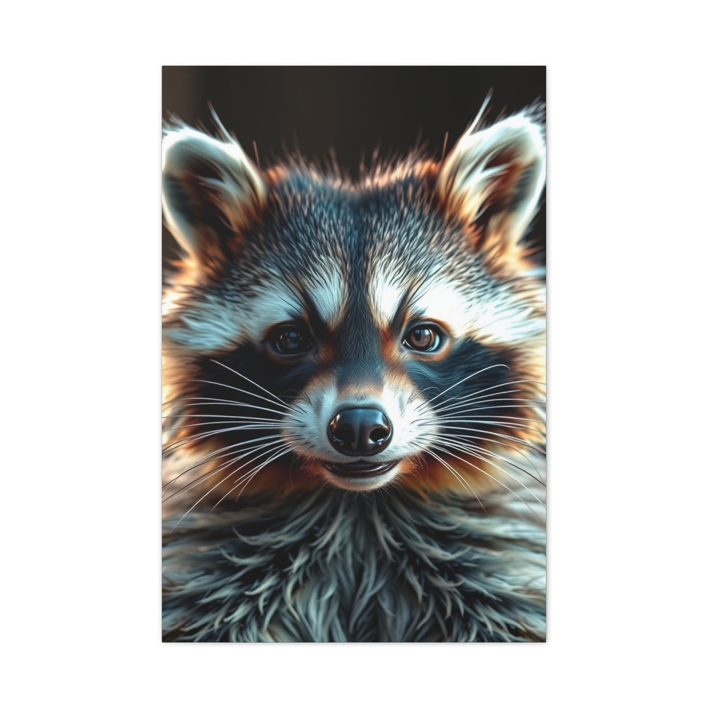 Supreme Raccoon Art Collection Wall Art & Canvas Print