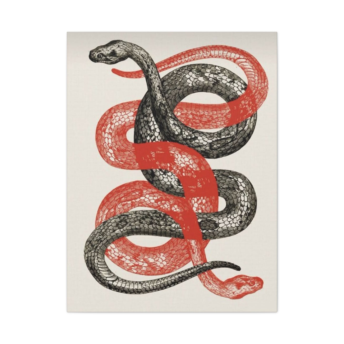 Red And Black Snake Wall Art & Canvas Prints