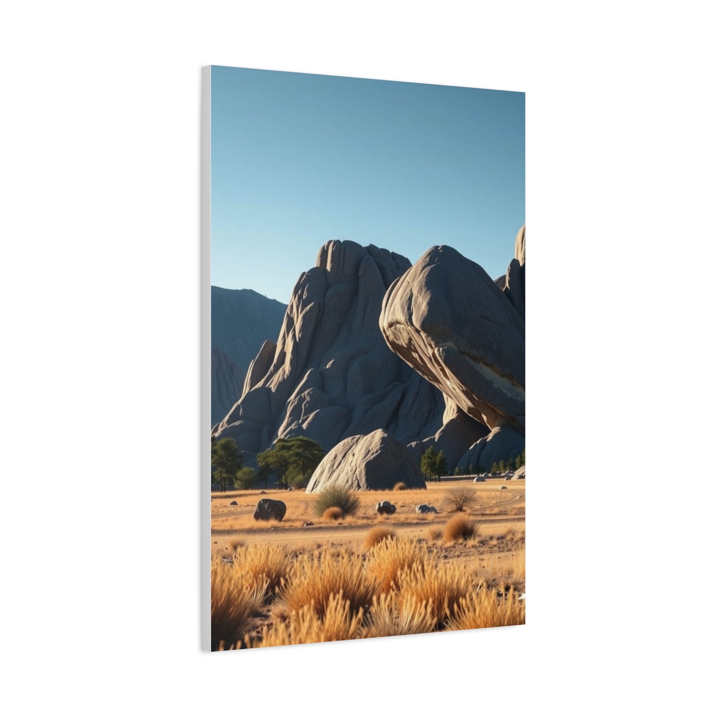 Boulder Art Luxury Canvas Wall Art & Canvas Print
