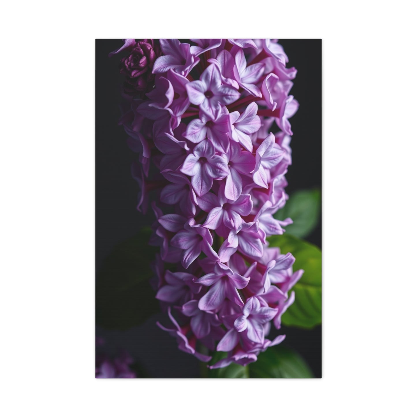 Lilac Flower Art Luxury Canvas Wall Art & Canvas Print