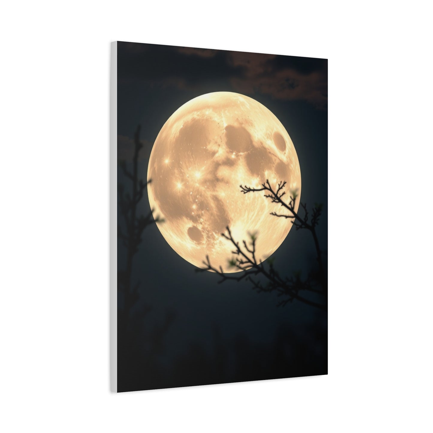 Elite Full Moon Art Vision Wall Art & Canvas Print