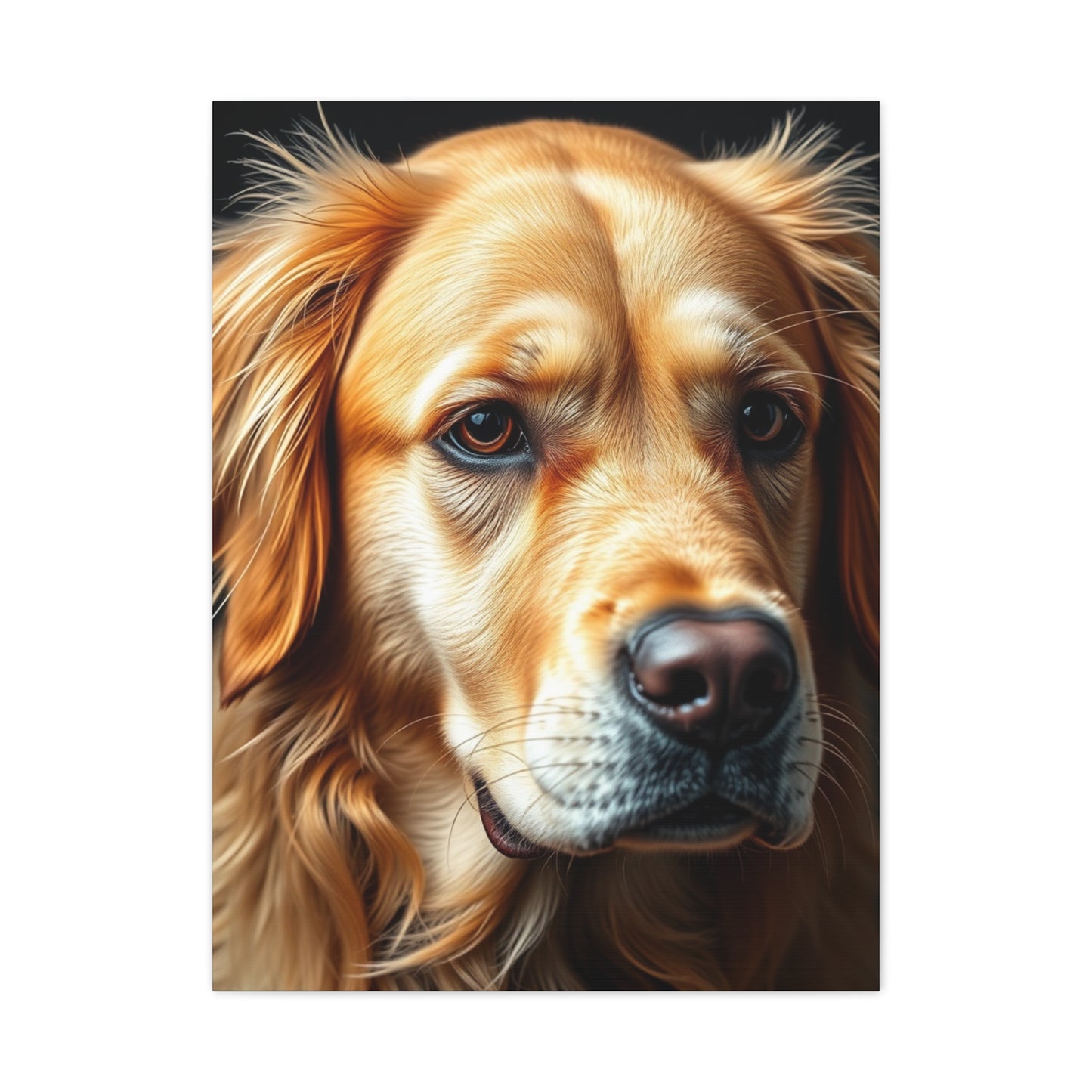 Supreme Golden Retriever Art Collection Wall Art & Canvas Print