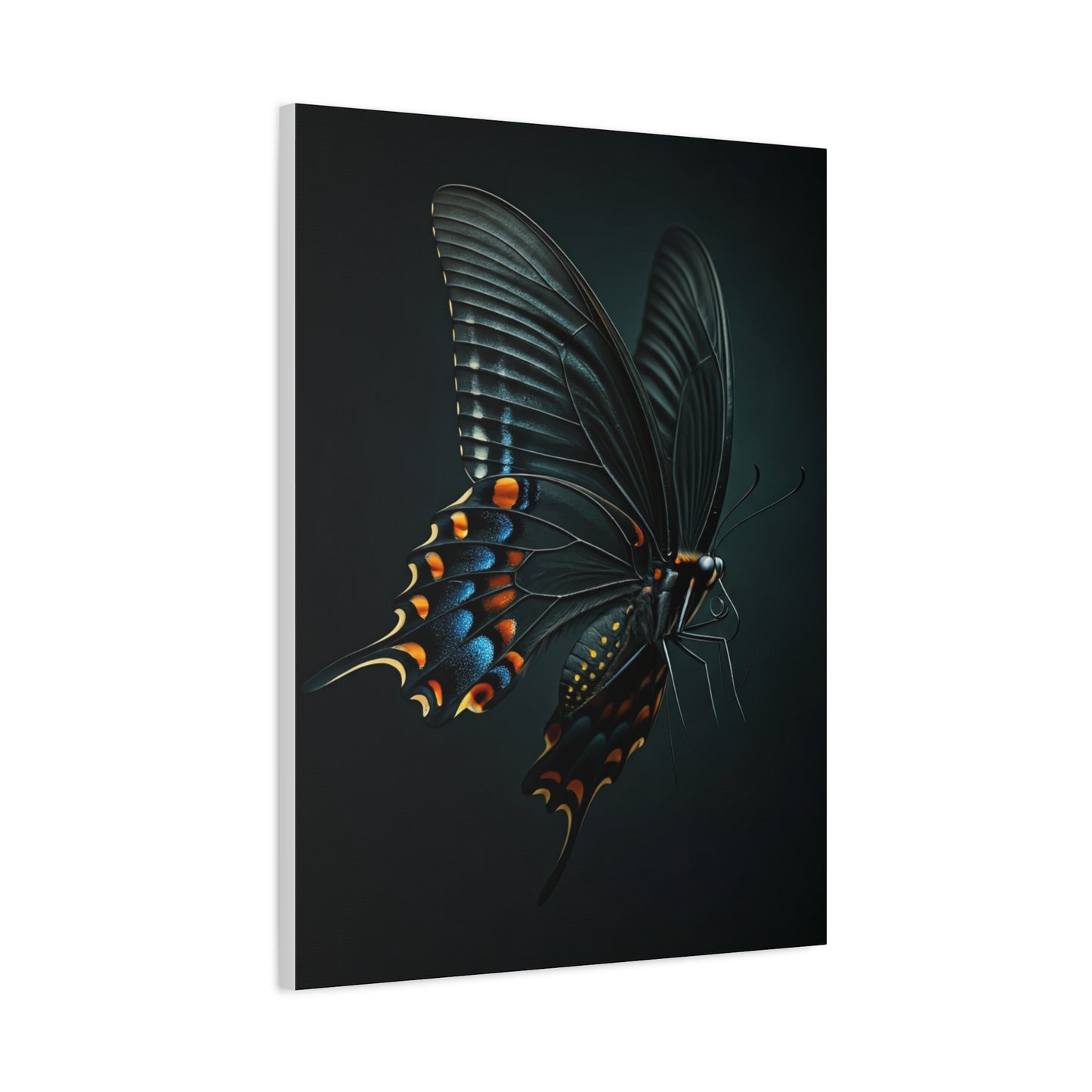 Dark Swallowtail Butterfly in Flight Wall Art & Canvas Prints