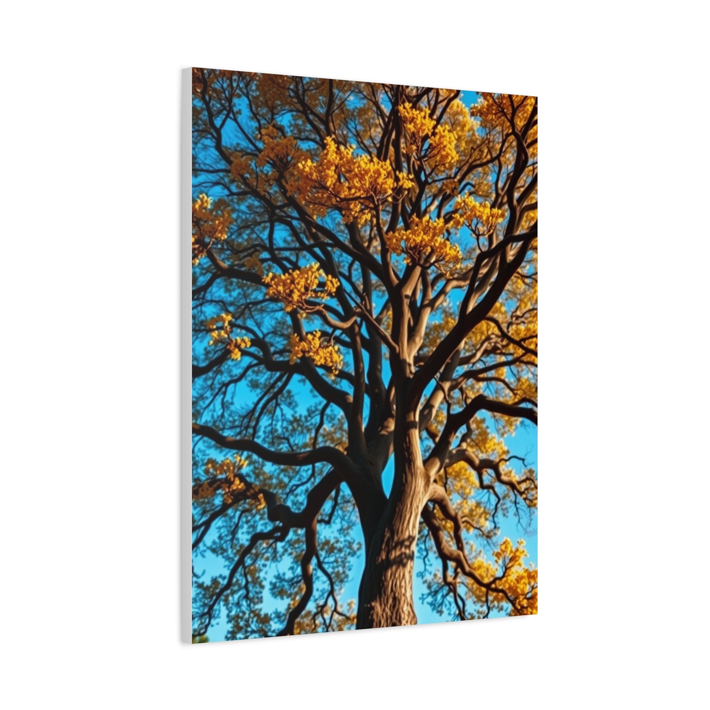 Majestic Grove Masterpiece Wall Art & Canvas Print