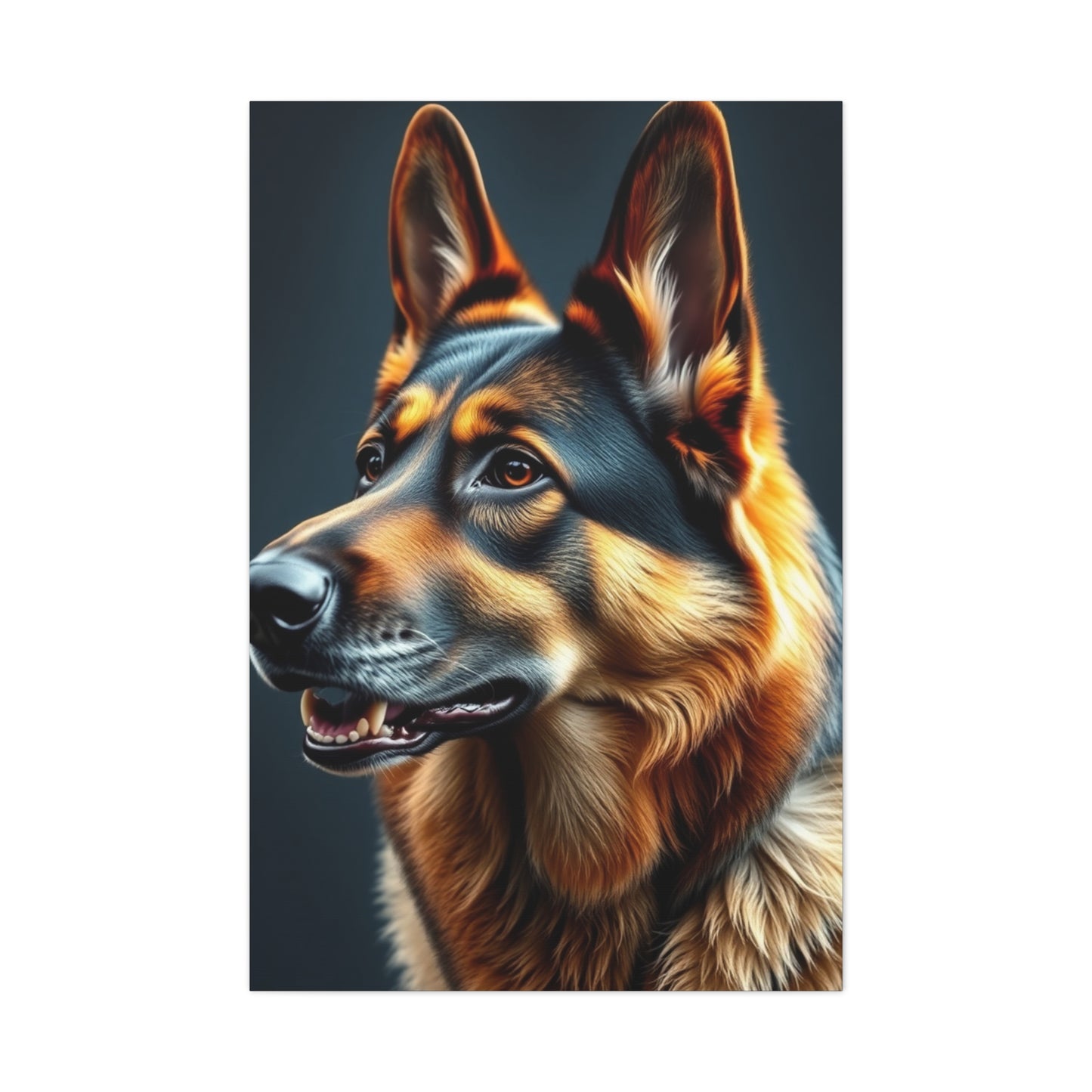 Supreme German Shepherd Art Collection Wall Art & Canvas Print