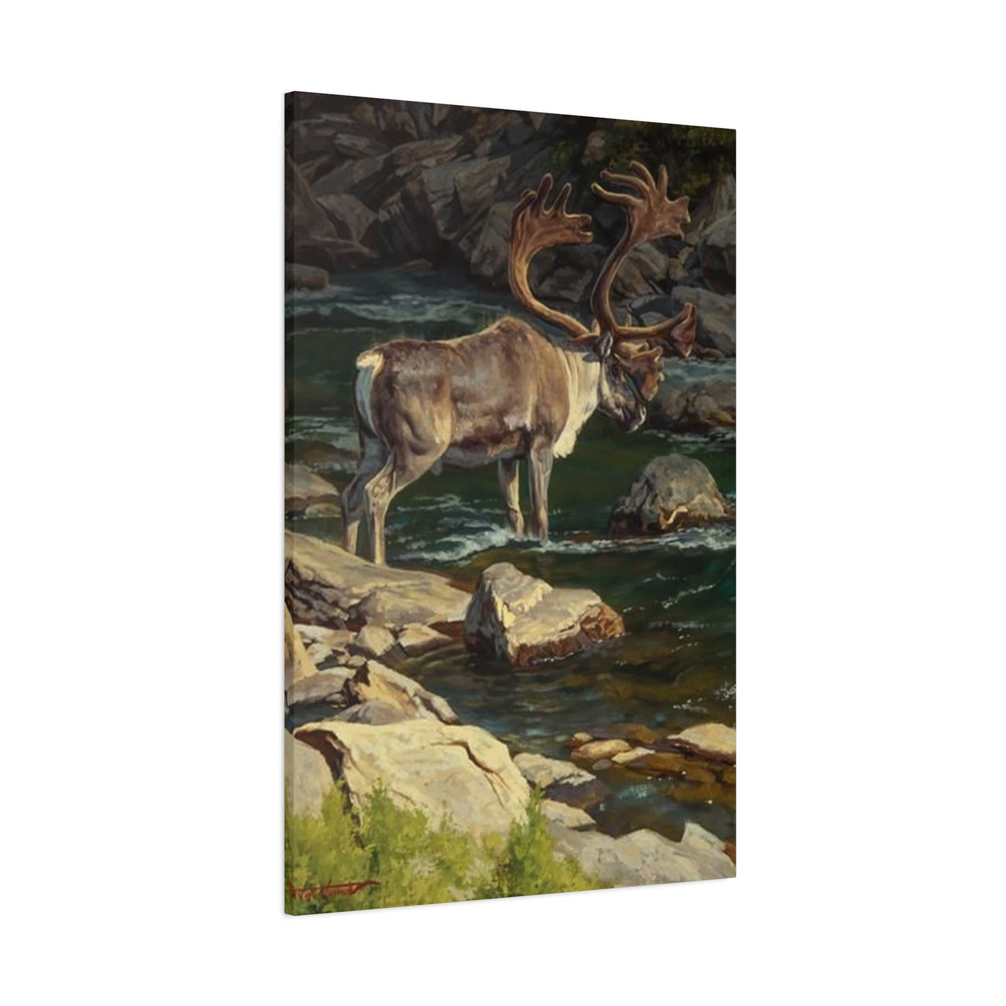 Reindeer Photography Wall Art & Canvas Prints