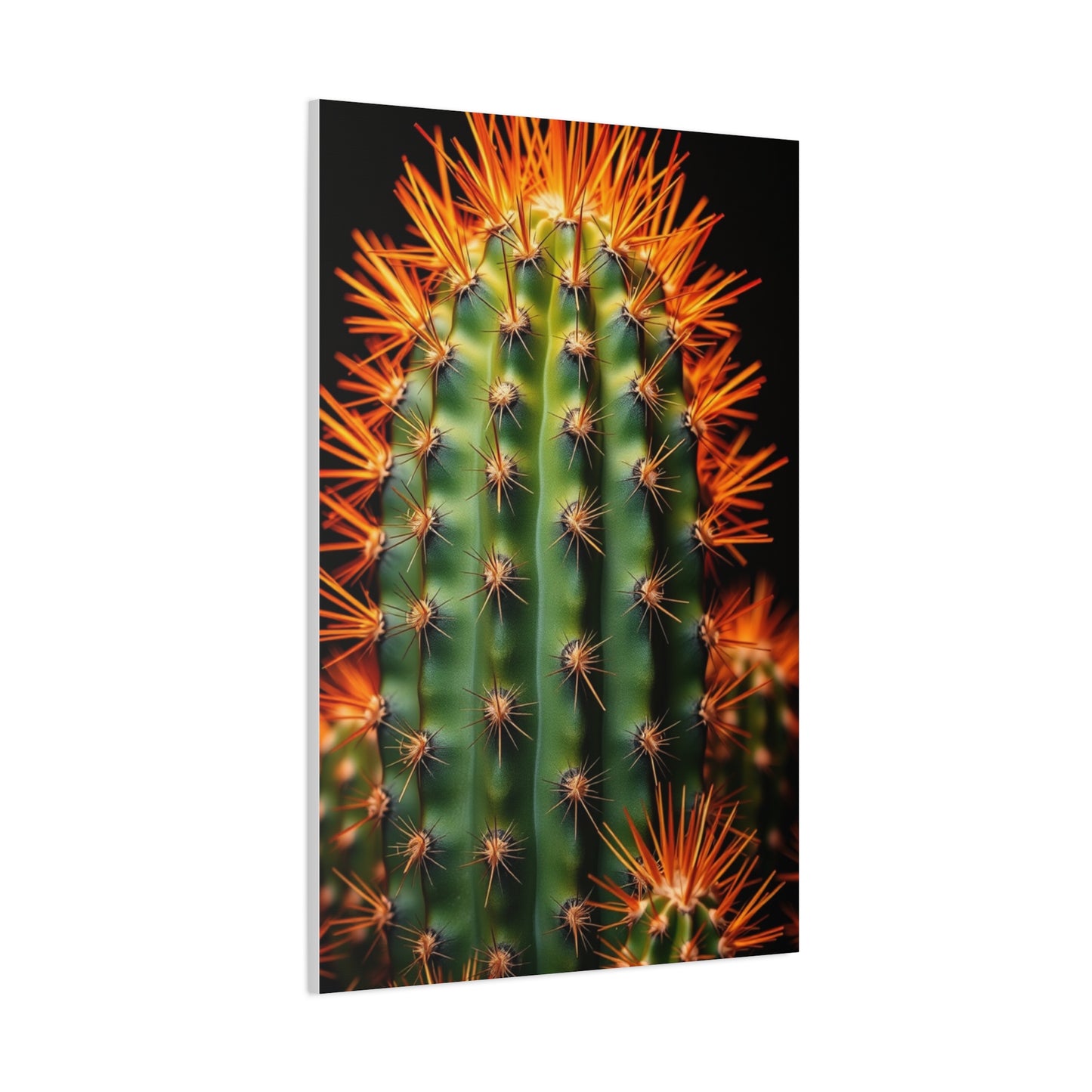 Desert Blossom Art Wall Art & Canvas Print