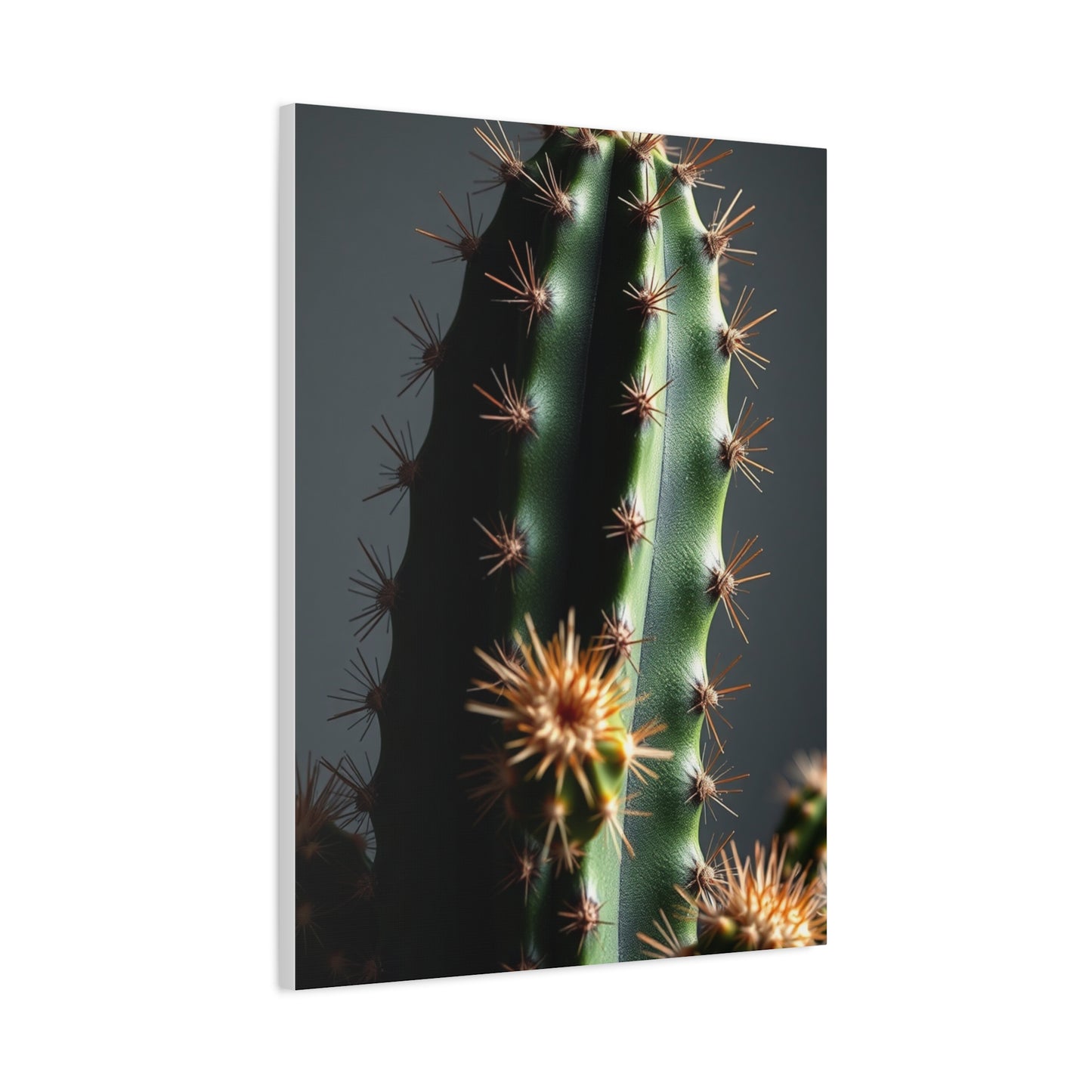 Thorned Tranquility Art Wall Art & Canvas Print