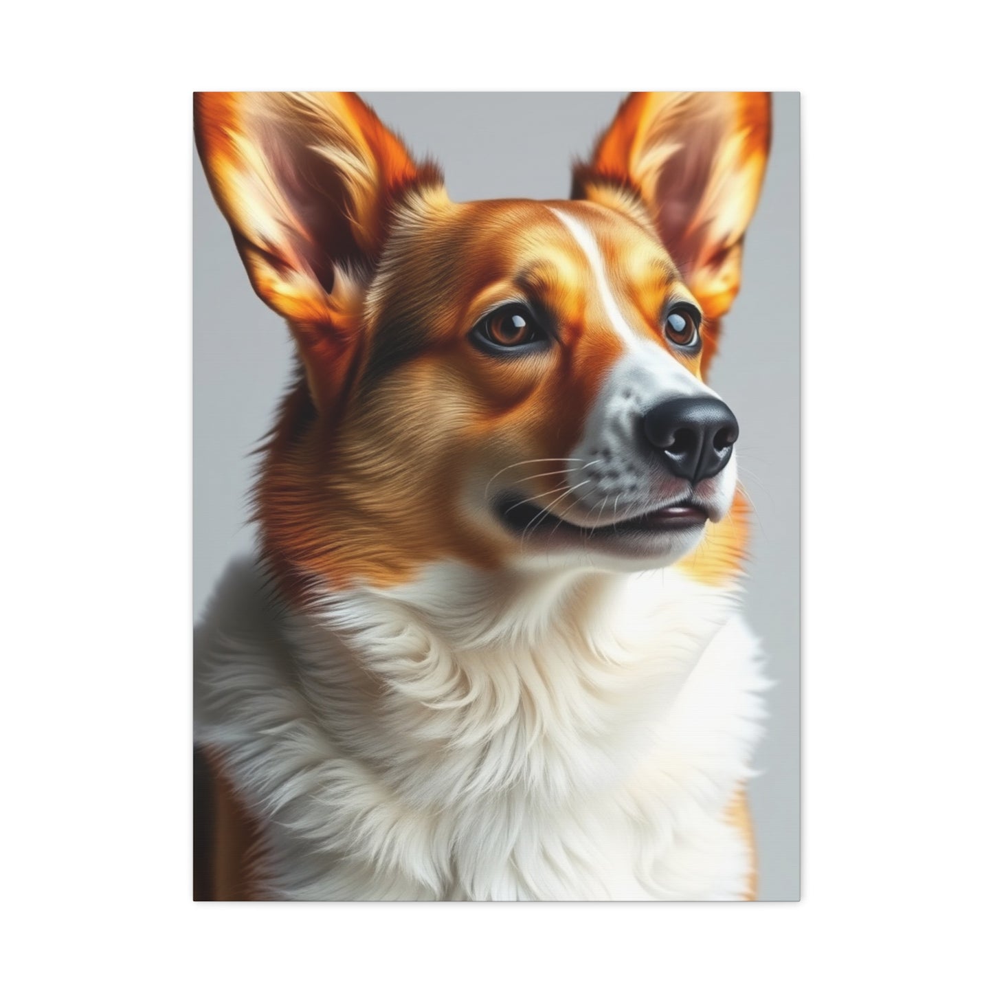Collection Corgi Dog Art Art Wall Art & Canvas Print