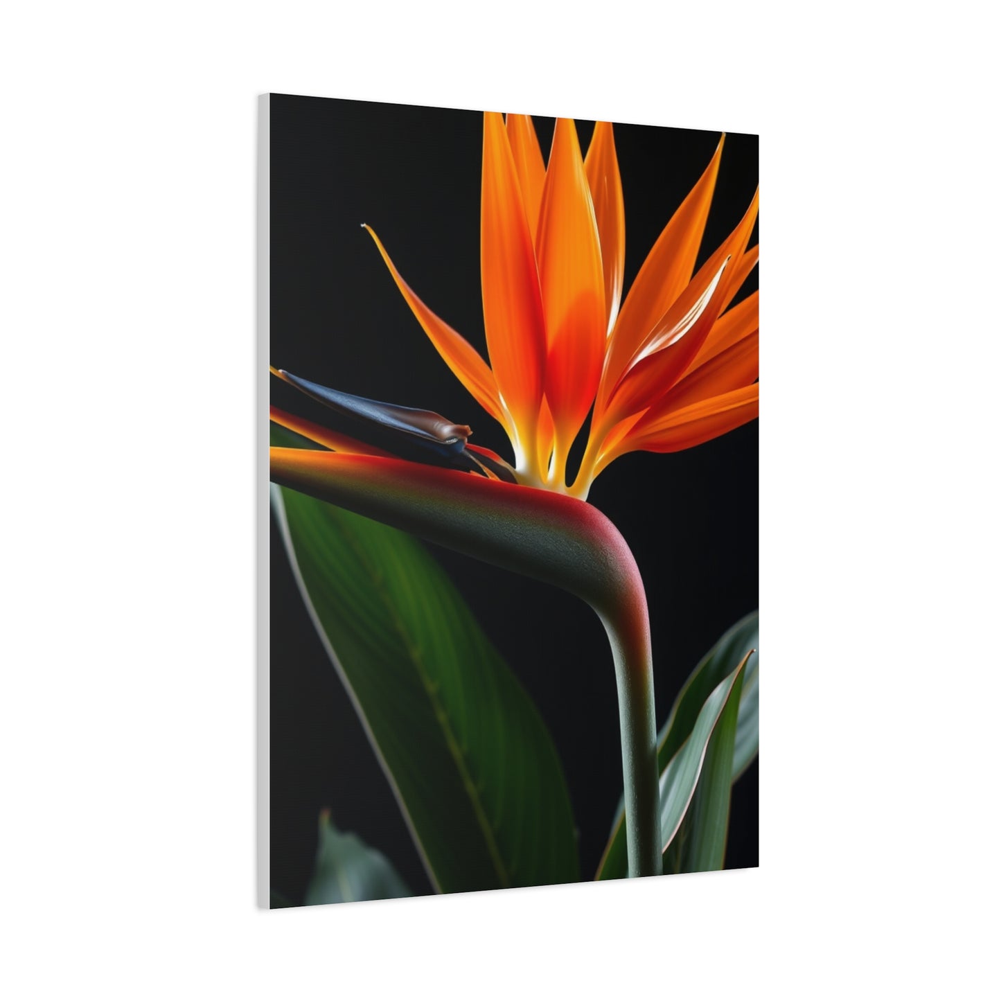 Masterpiece Bird of Paradise Plant Art Vision Wall Art & Canvas Print
