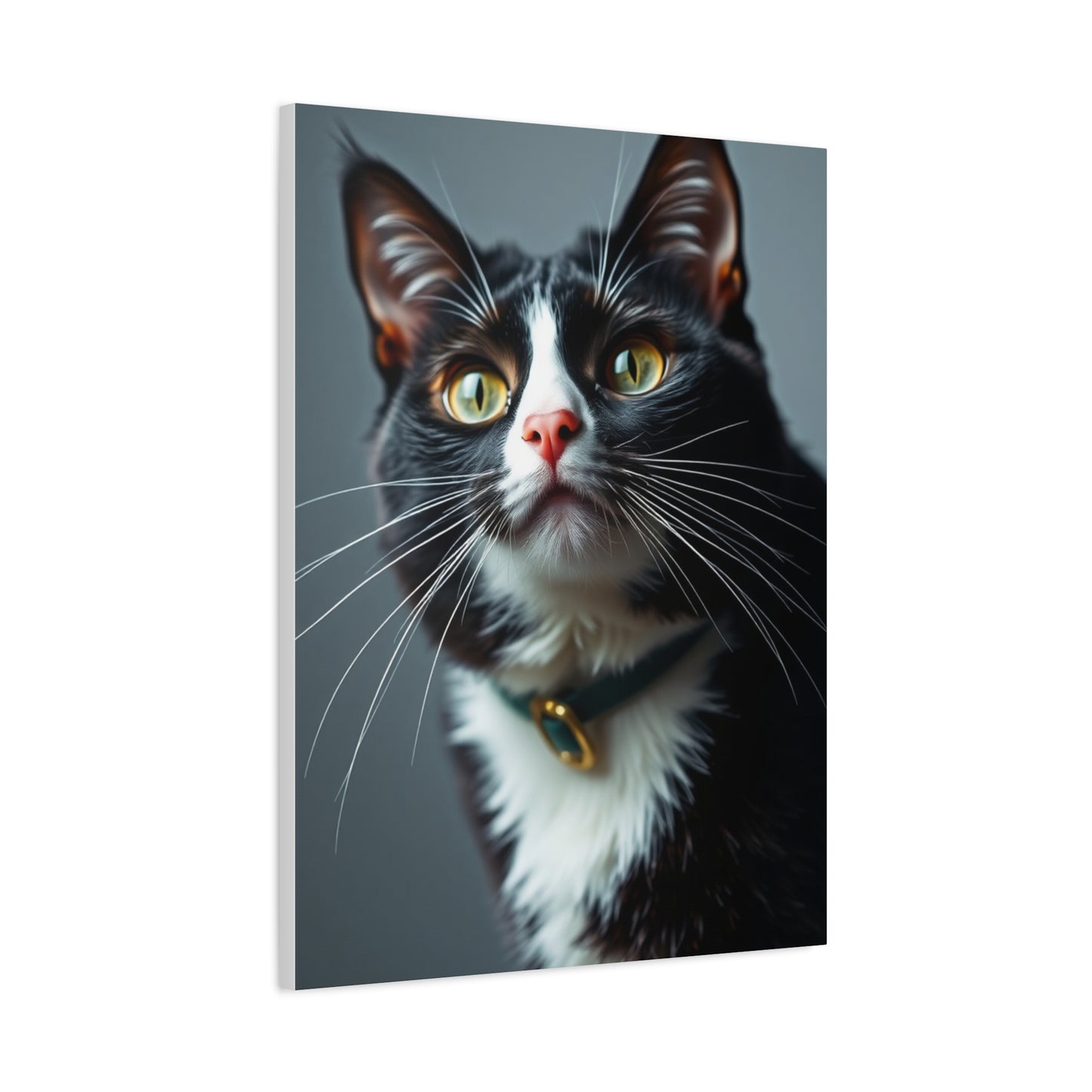 Supreme Tuxedo Cat Art Collection Wall Art & Canvas Print