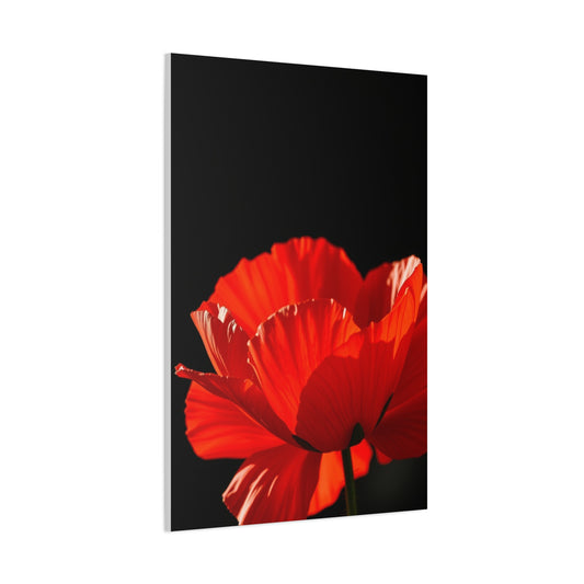 Supreme Poppy Flower Art Collection Wall Art & Canvas Print