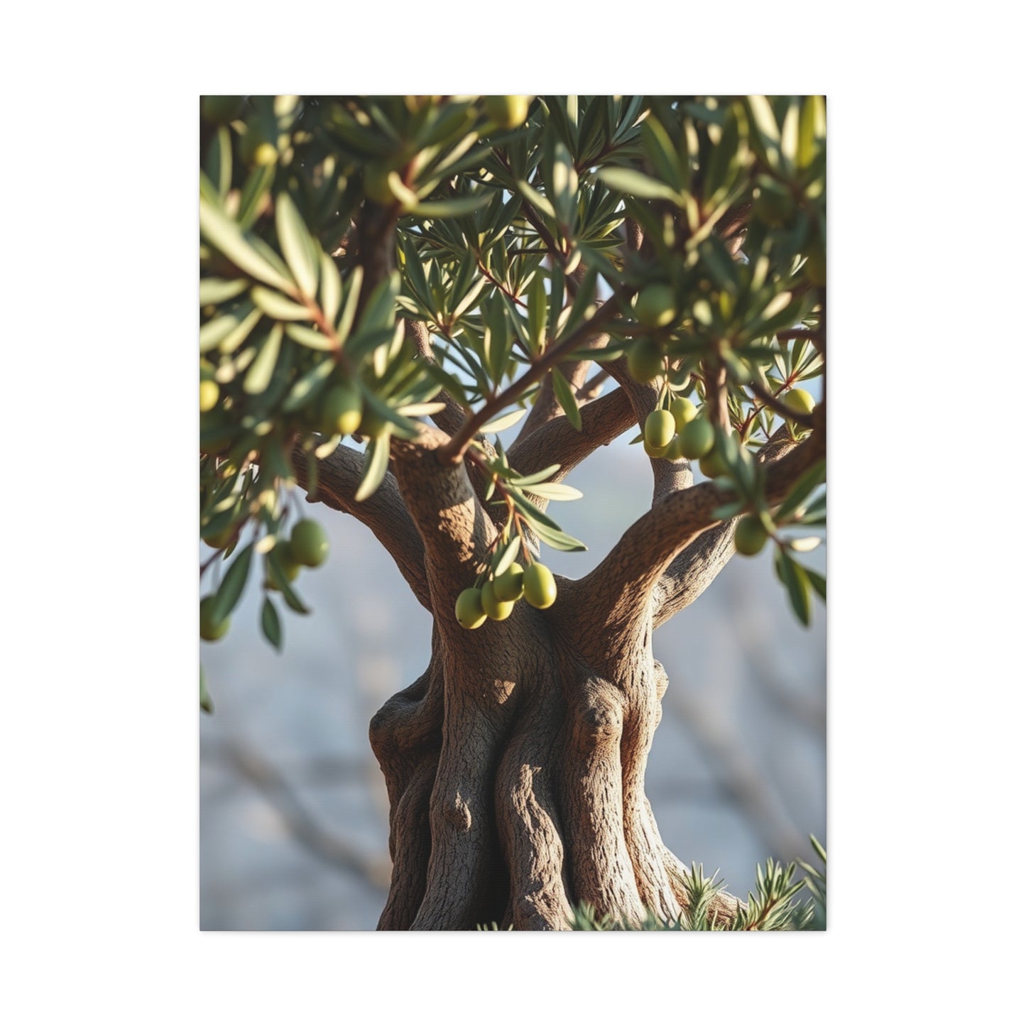 Elite Olive Tree Art Vision Wall Art & Canvas Print
